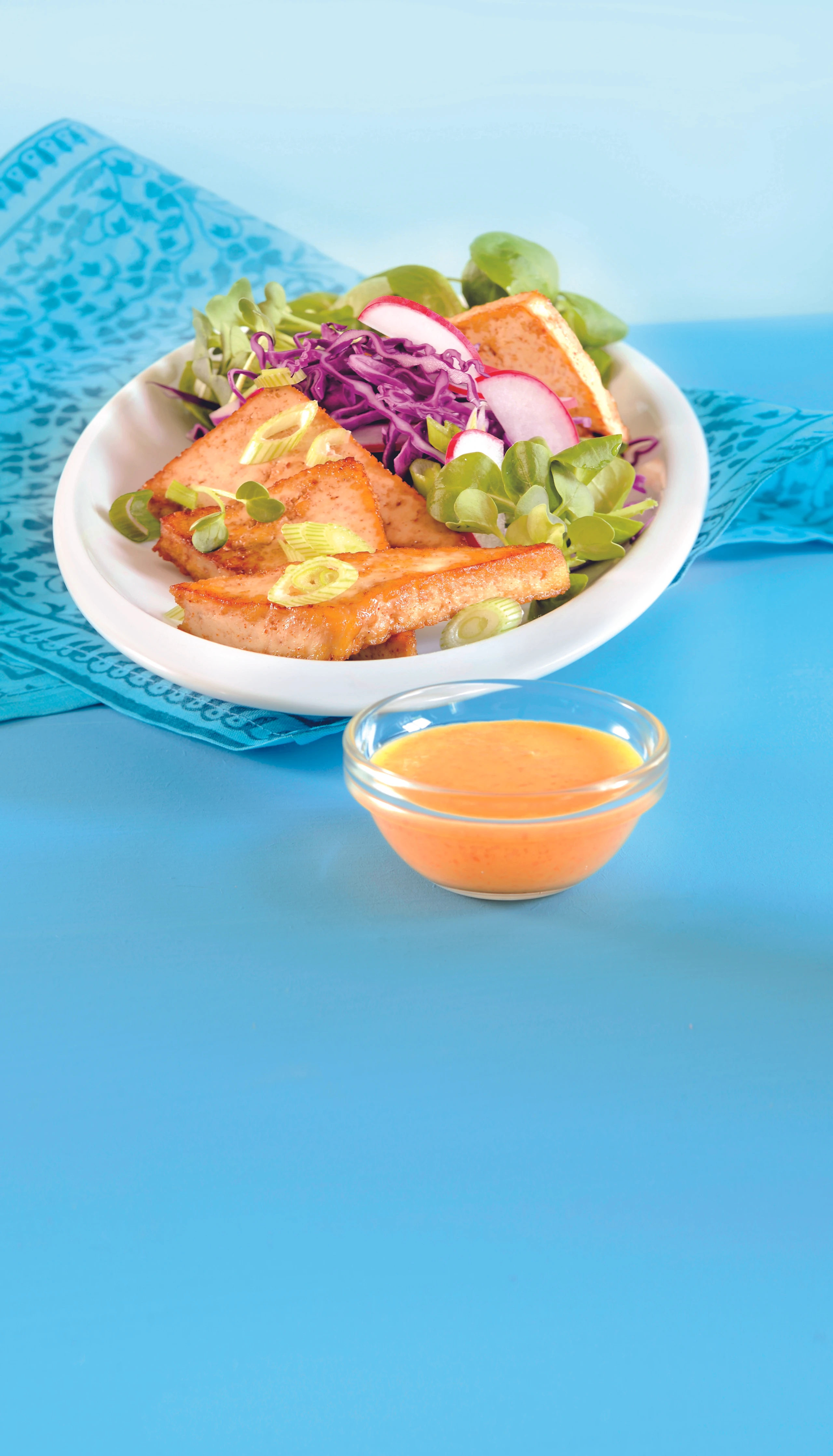 Radieschen-Rotkraut-Salat mit Chili-Tofu