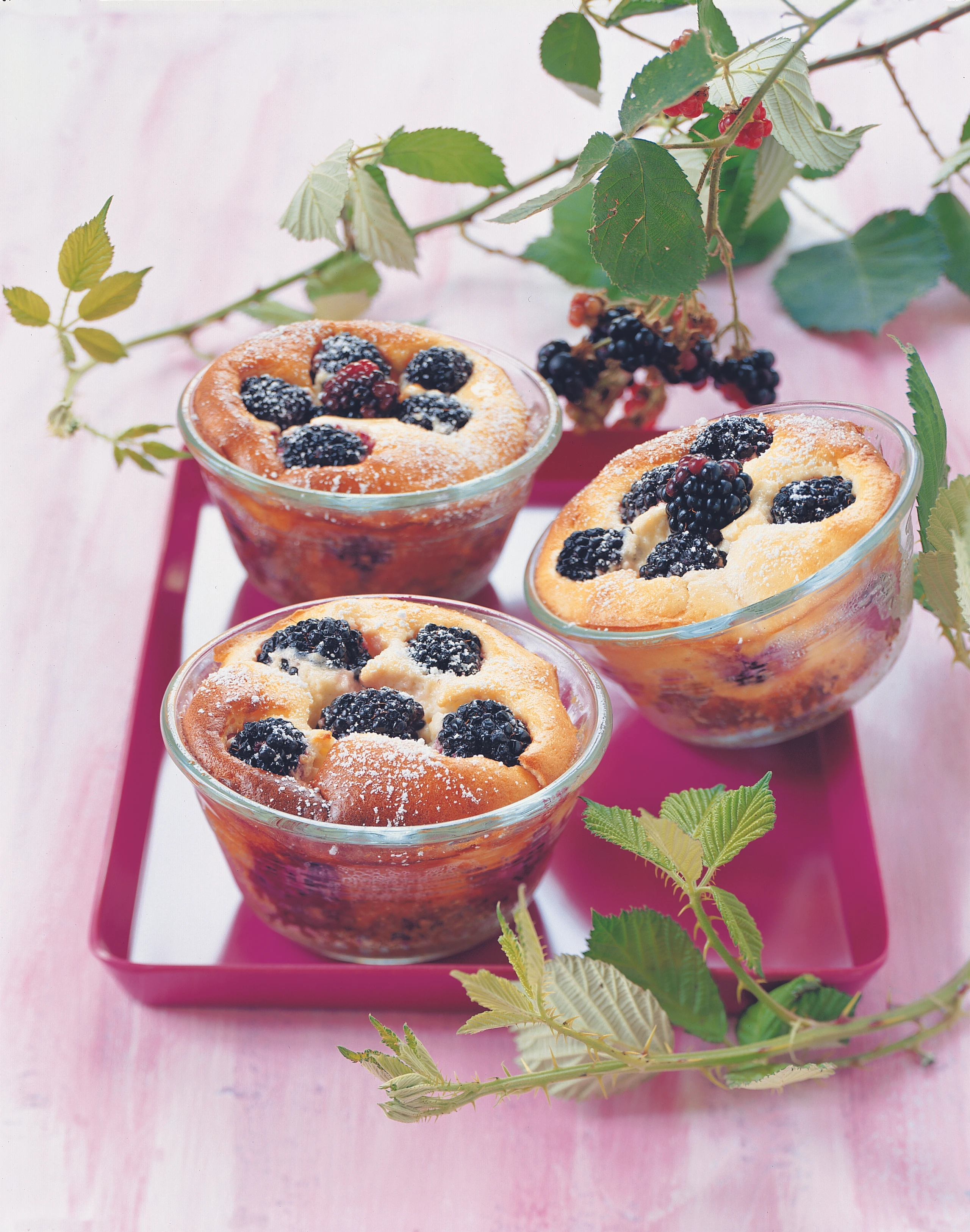 Gebackener Brombeer-Ricotta