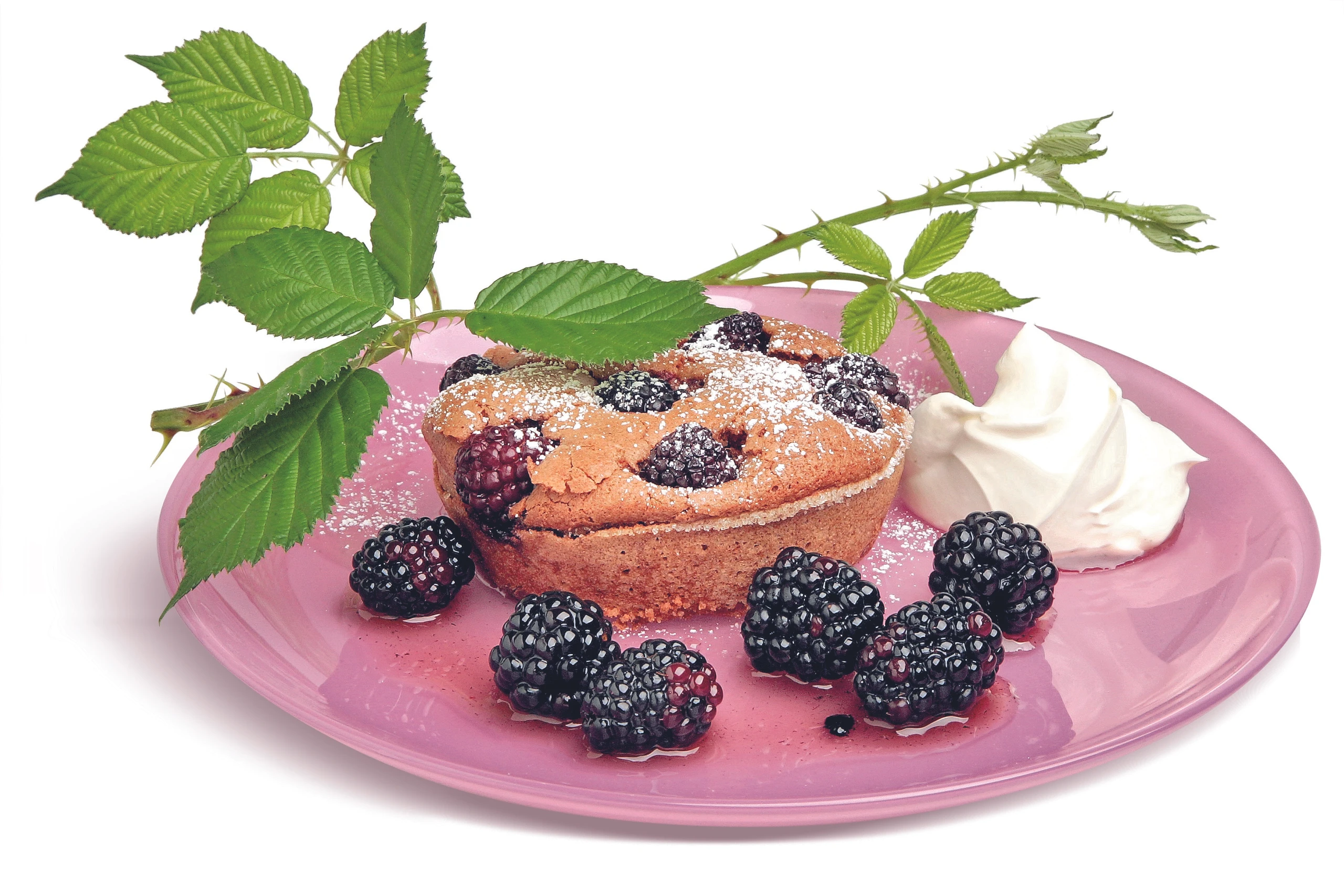 Brombeer-Schokoladekuchen