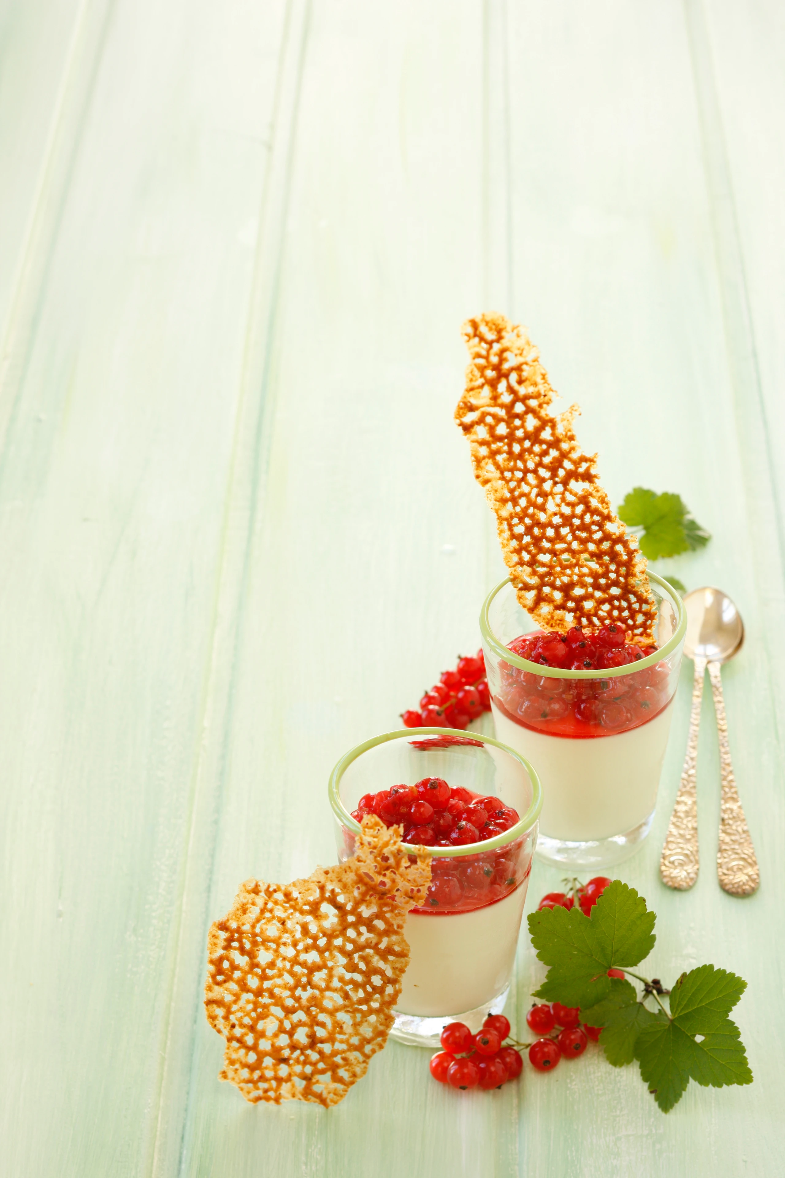 Panna cotta mit Ribiseln
