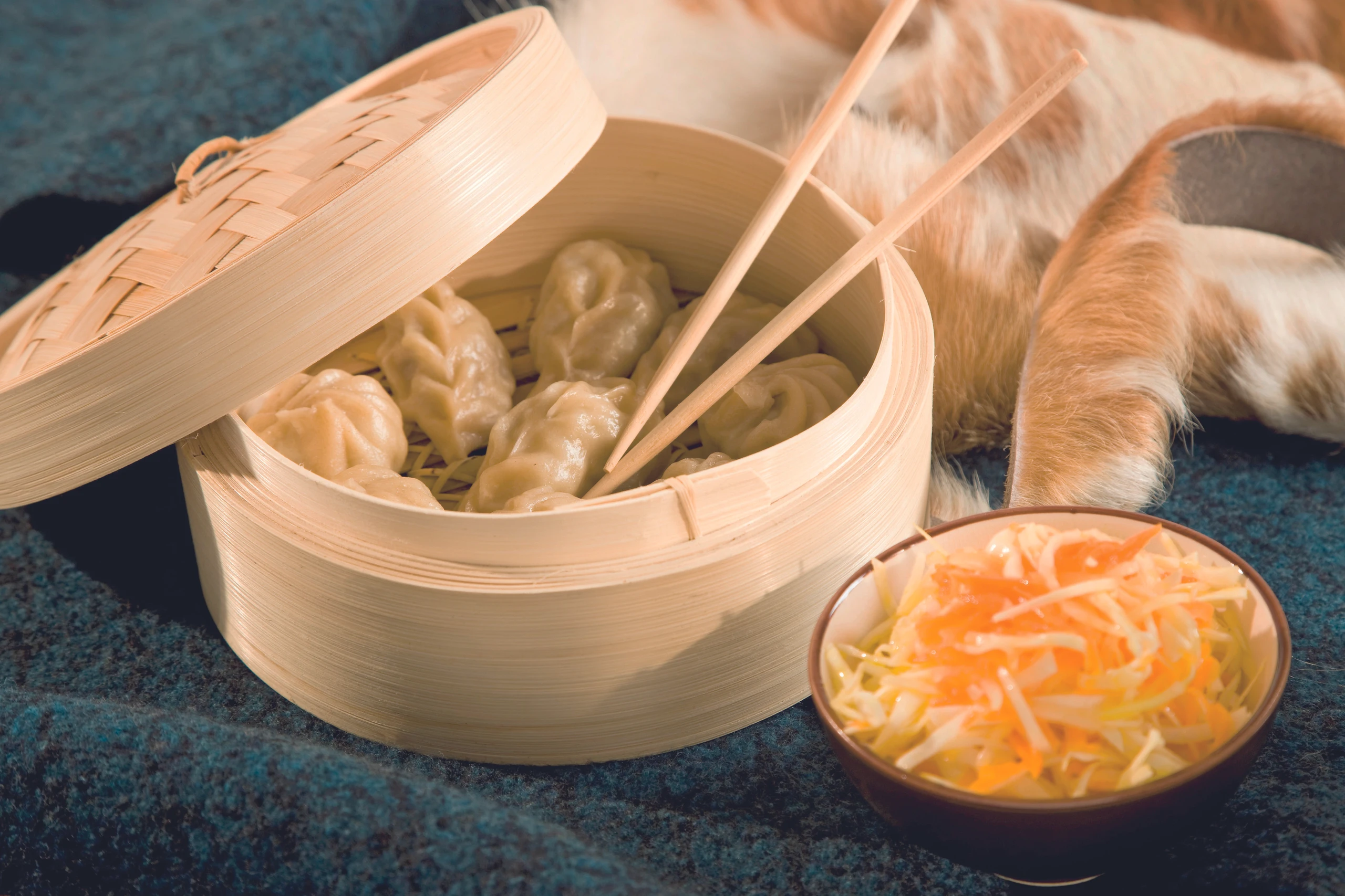 Gefüllte Teigtaschen mit Asia-Salat