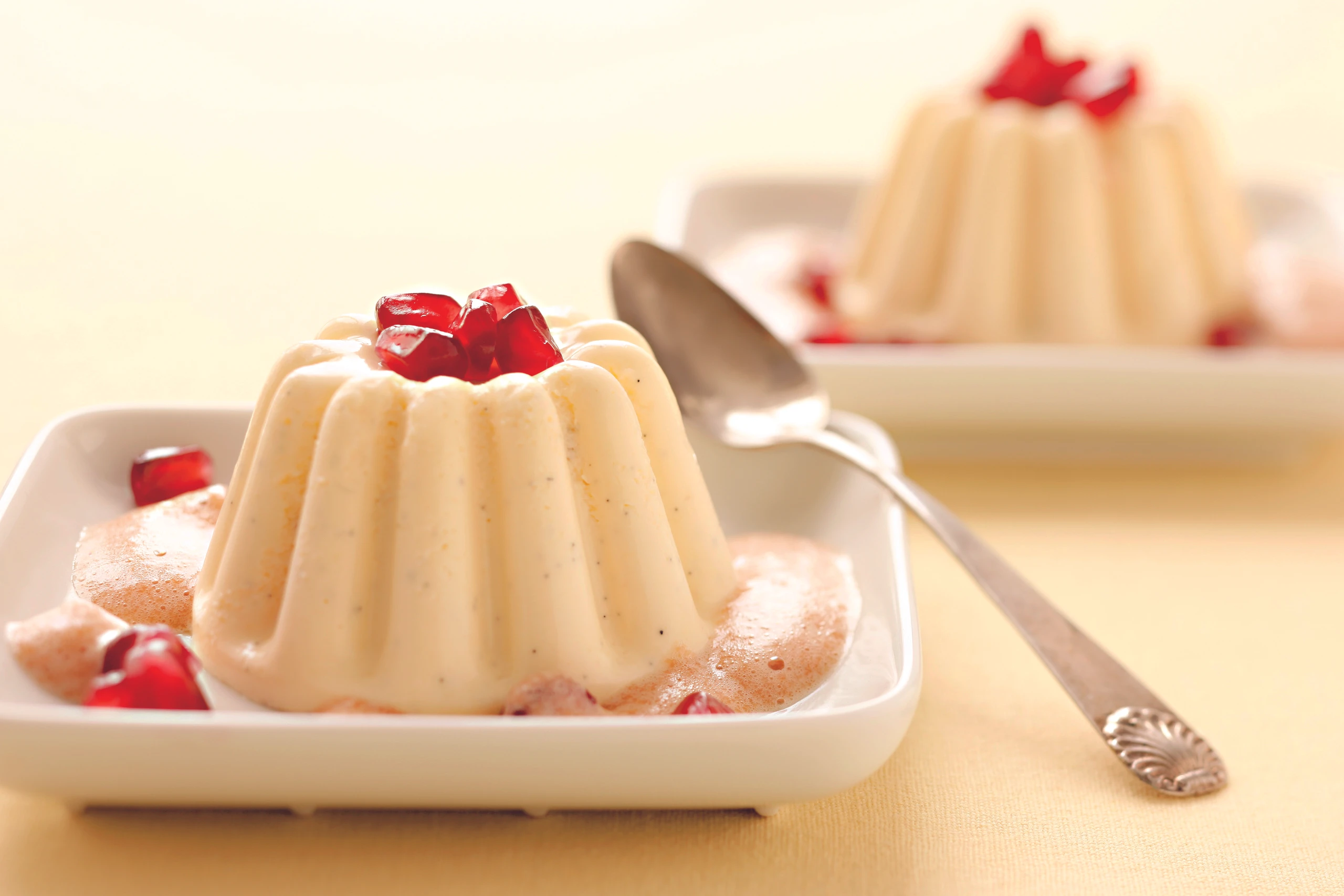 Vanillepudding mit Camparischaum