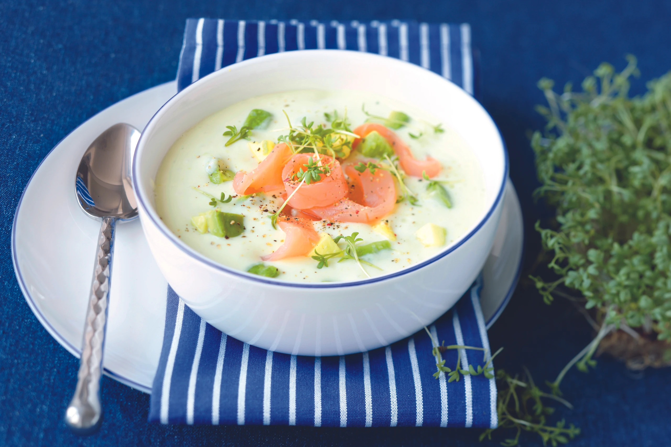 Avocadosuppe mit Lachs