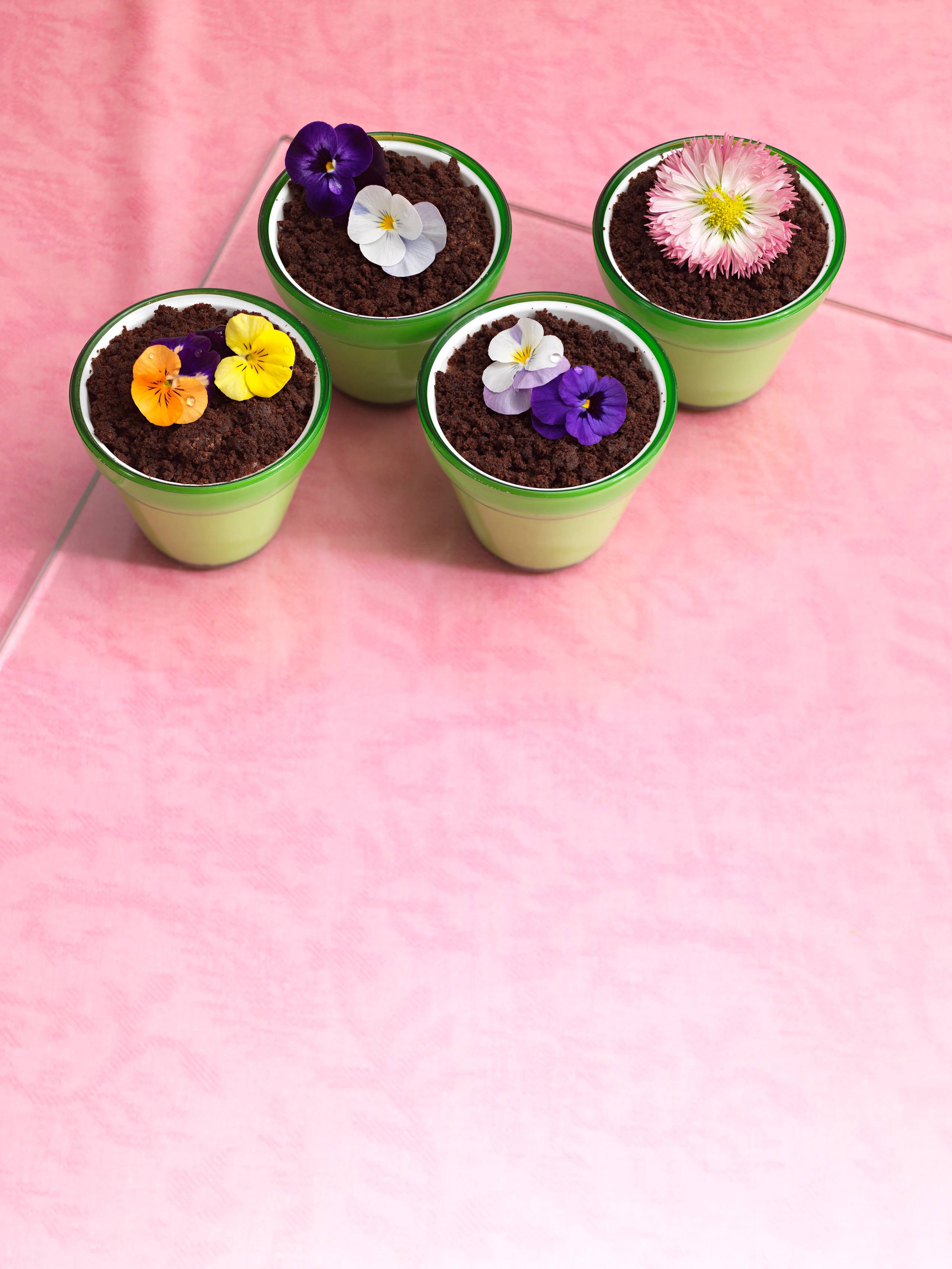 Topfblume auf Joghurt-Rhabarber-Creme