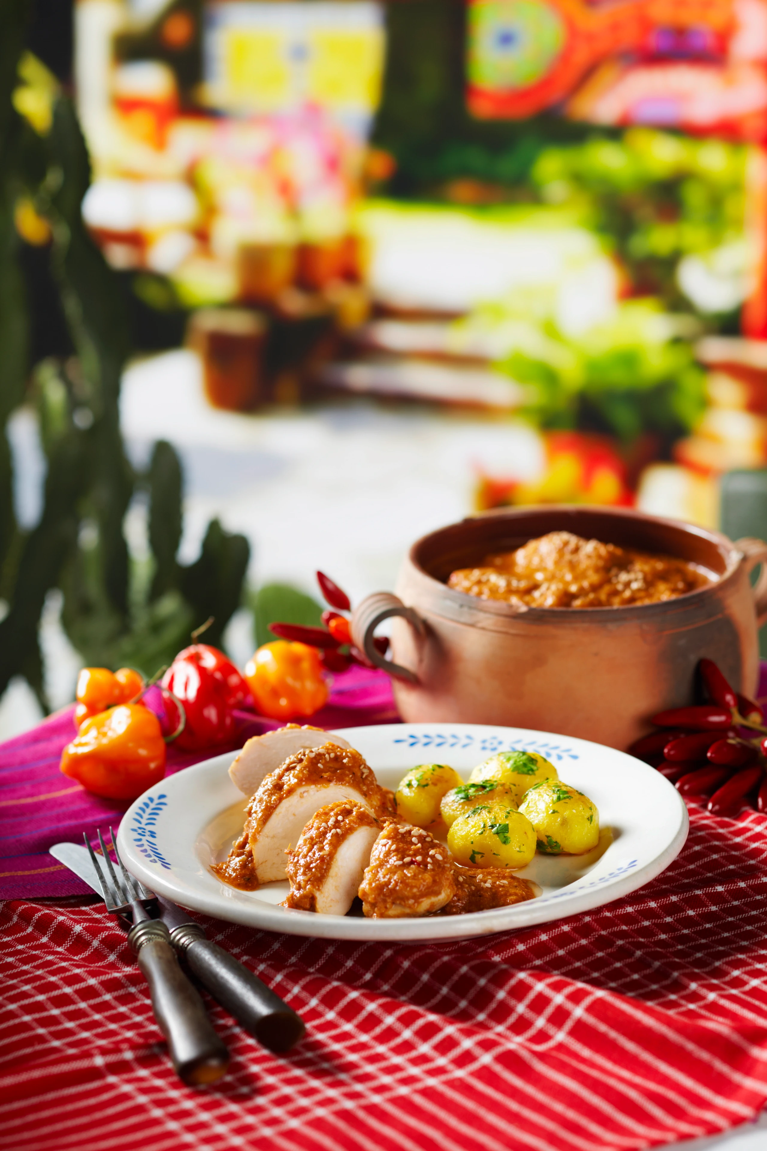 Pollo en mole coloradito: Huhn in roter Sesamsauce