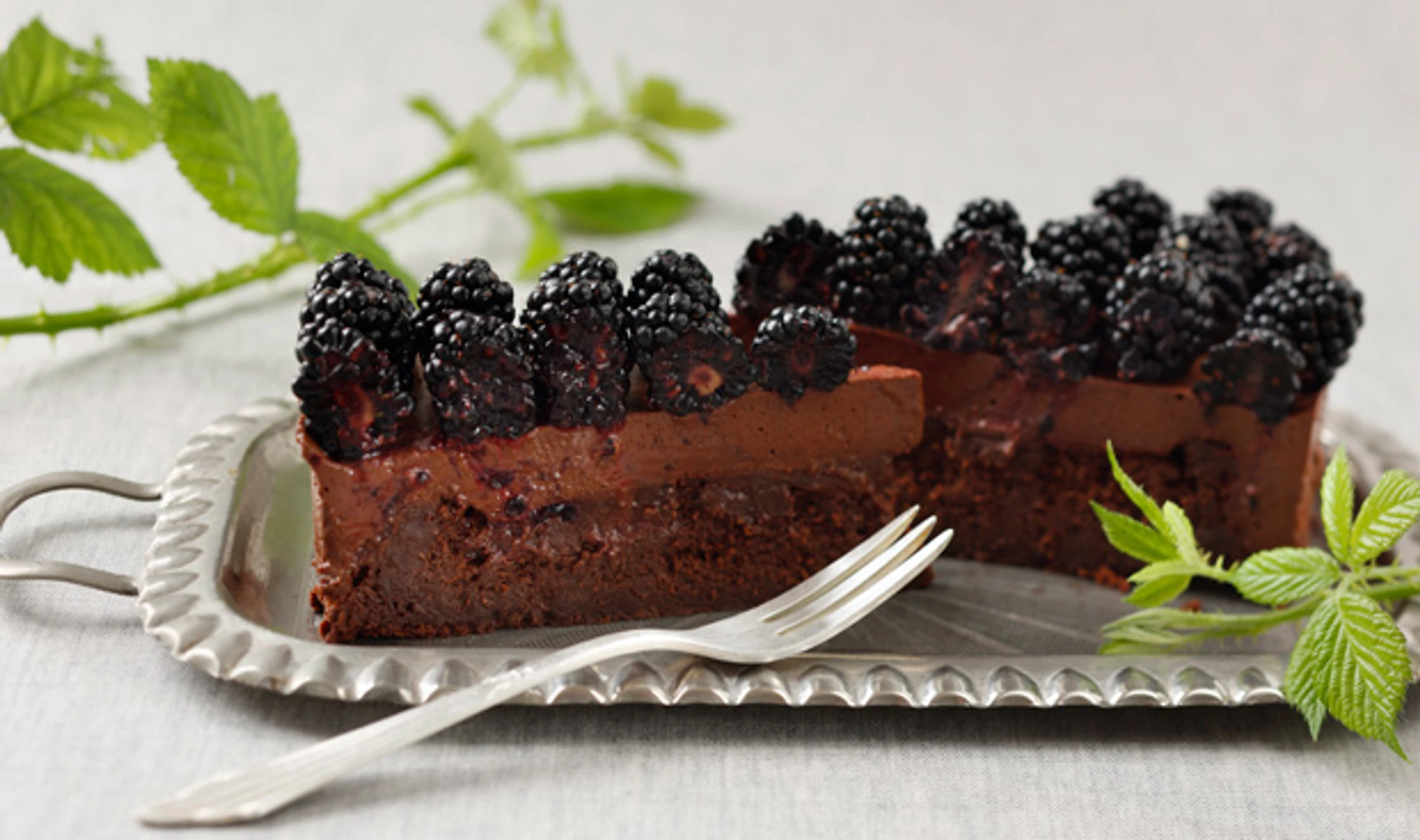 Schokomustorte mit Brombeeren