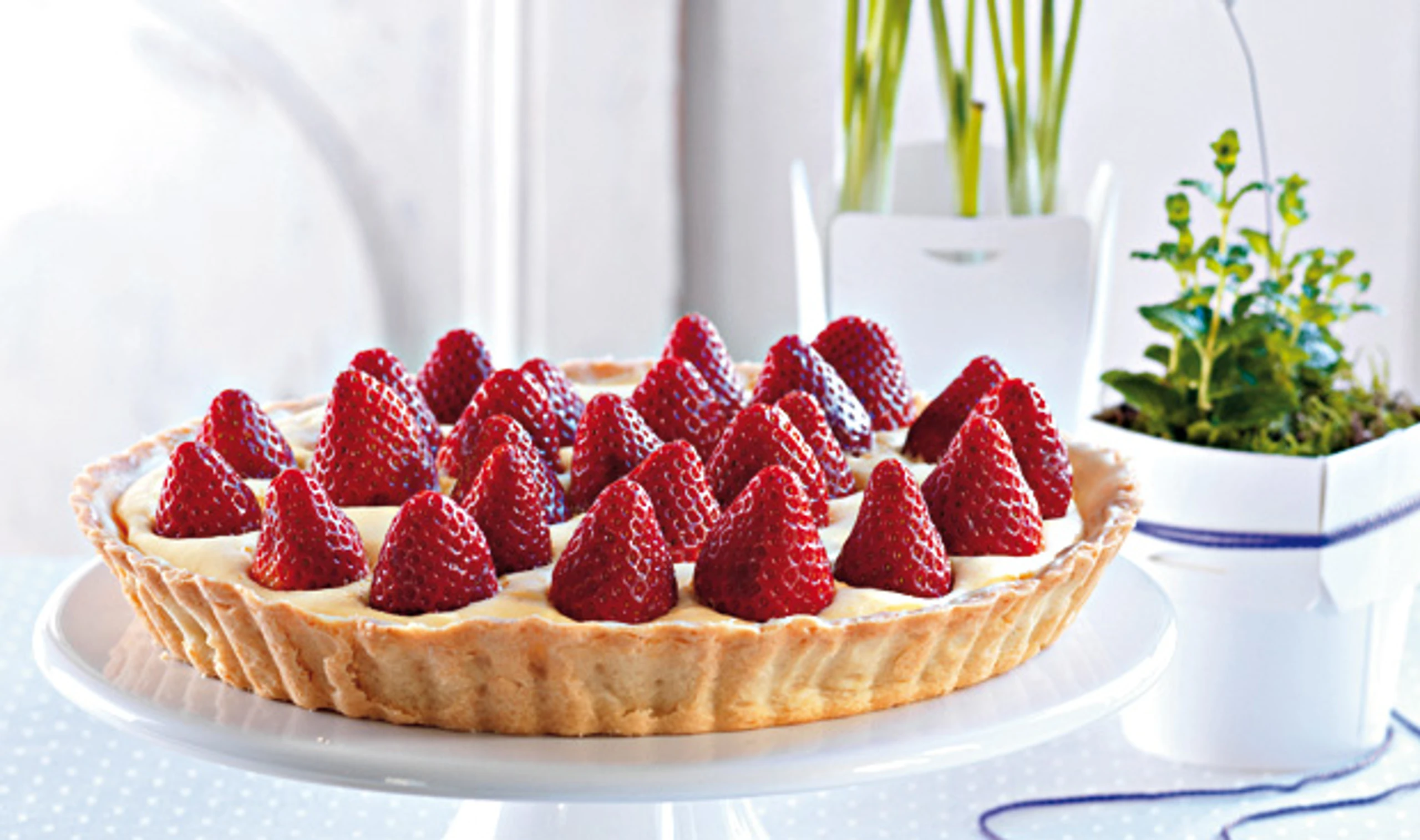 Schokotarte mit Erdbeeren
