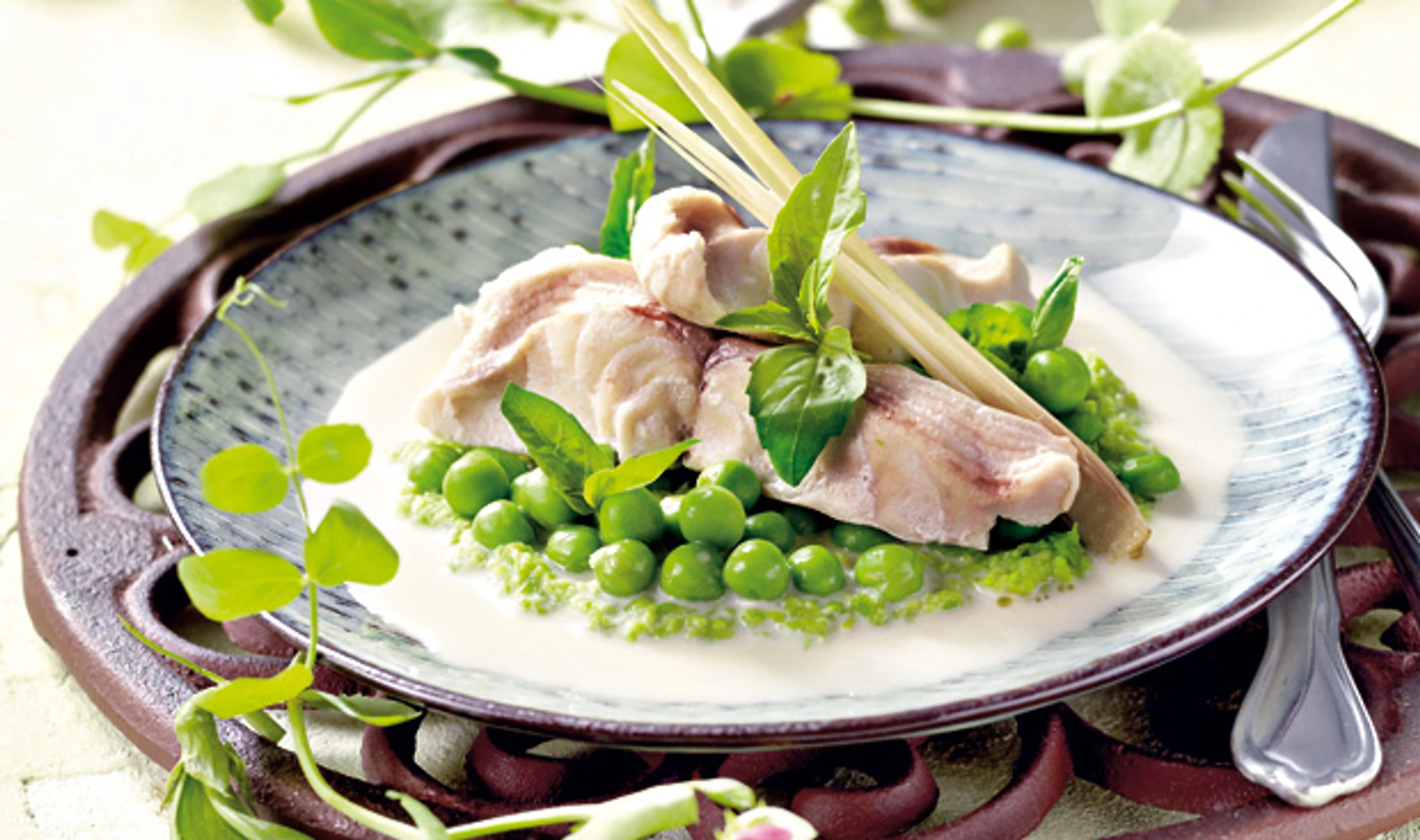 Saibling auf Erbsenpüree und Kokossauce