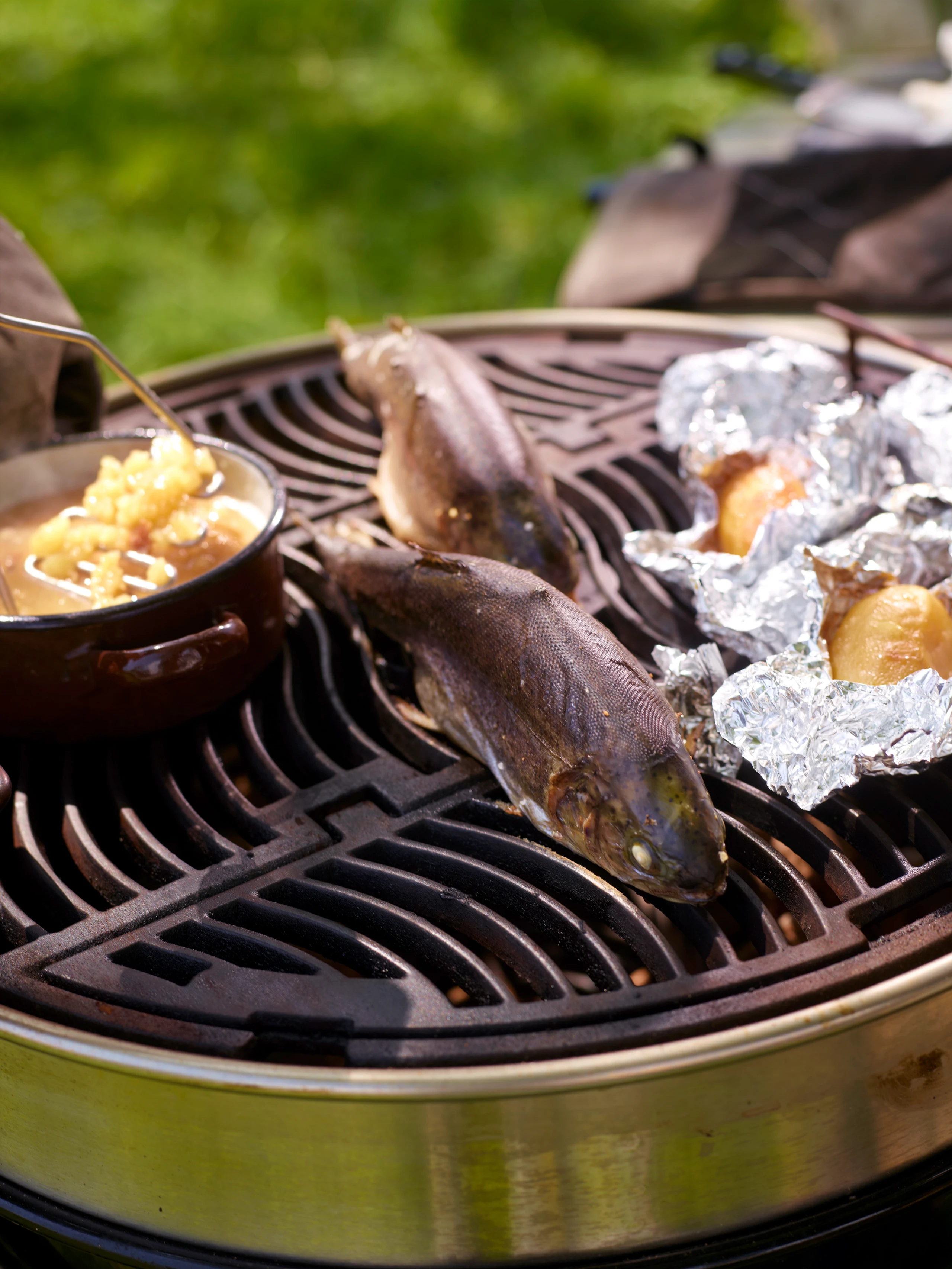 Gegrillte Forelle mit Erdäpfelstampf