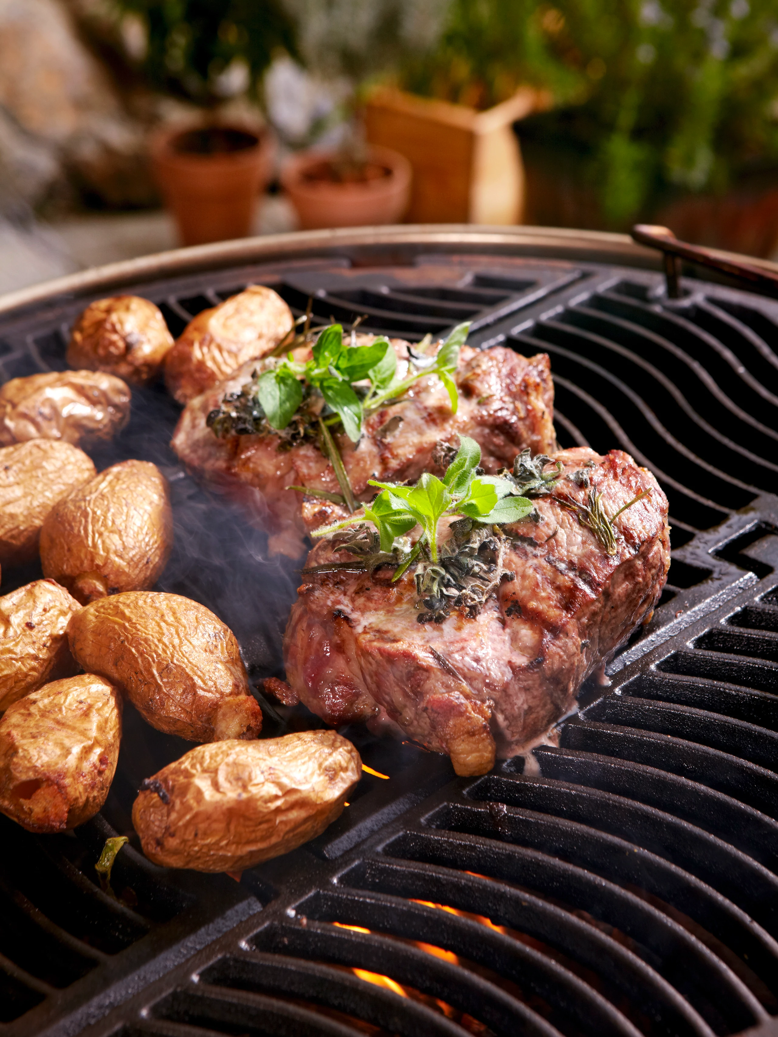 Gegrillte Schopfbratensteaks