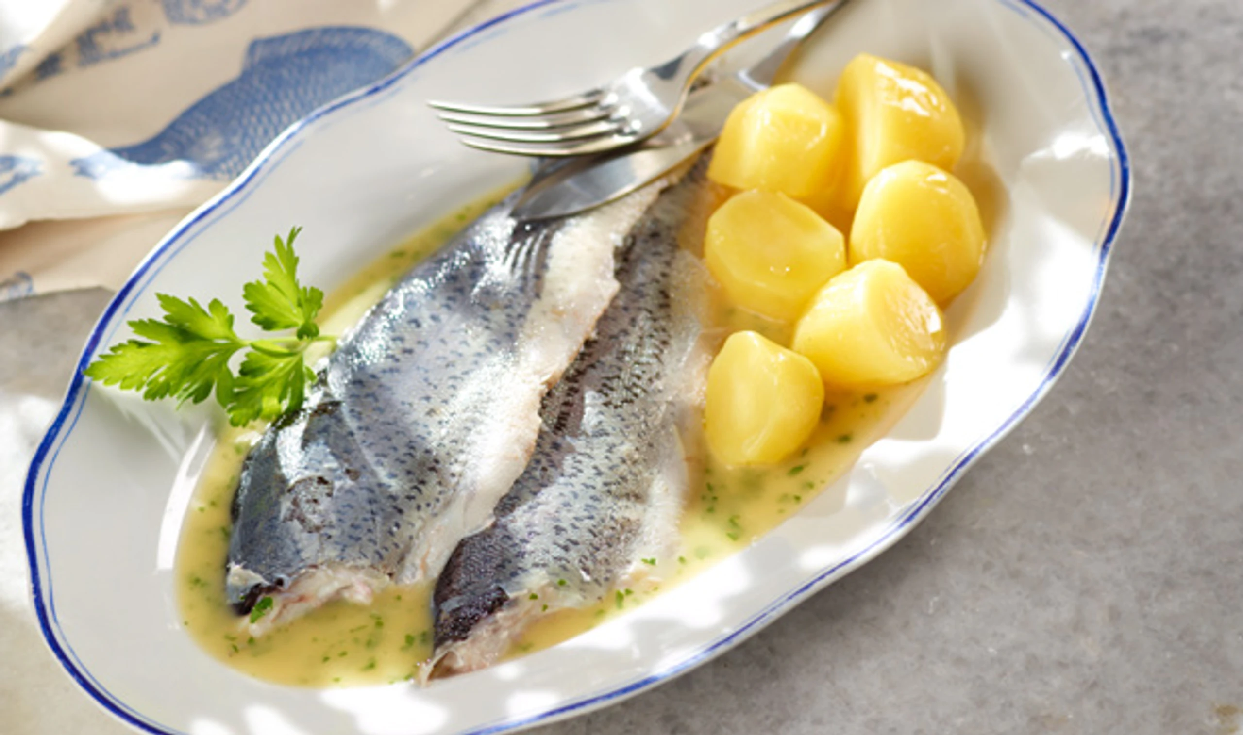 Forelle blau mit Buttersauce