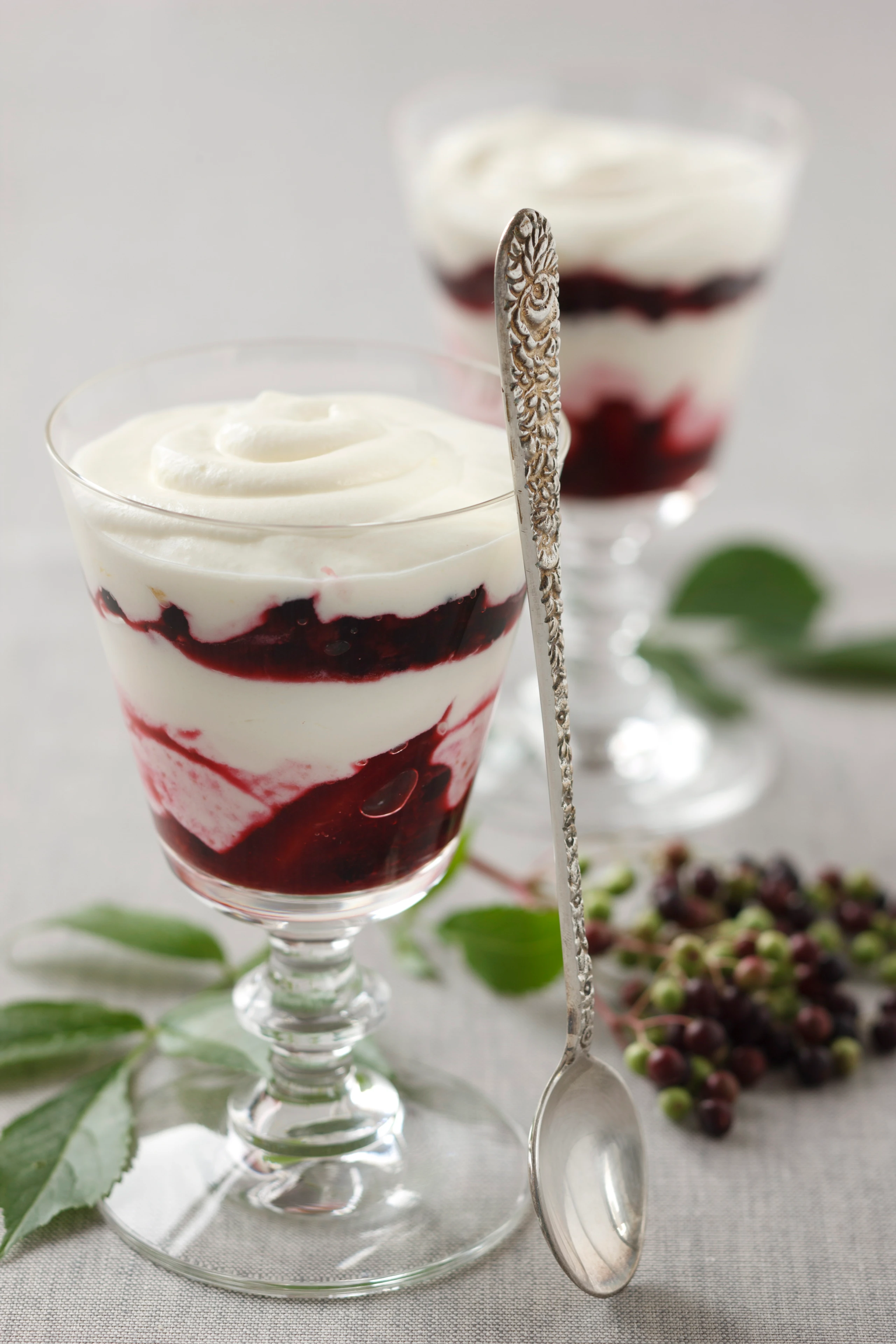 Topfenkaltschale mit Hollerröster