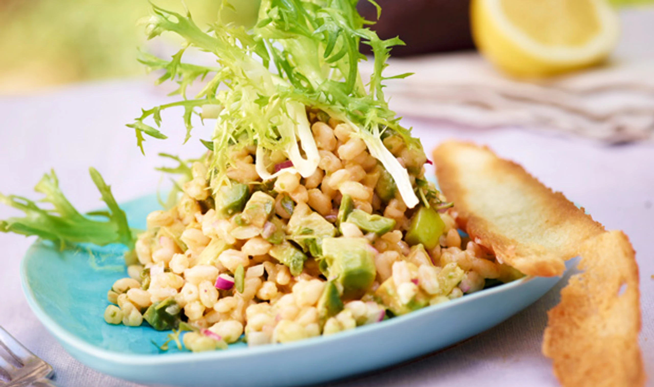 Weizen-Avocado-Tatar