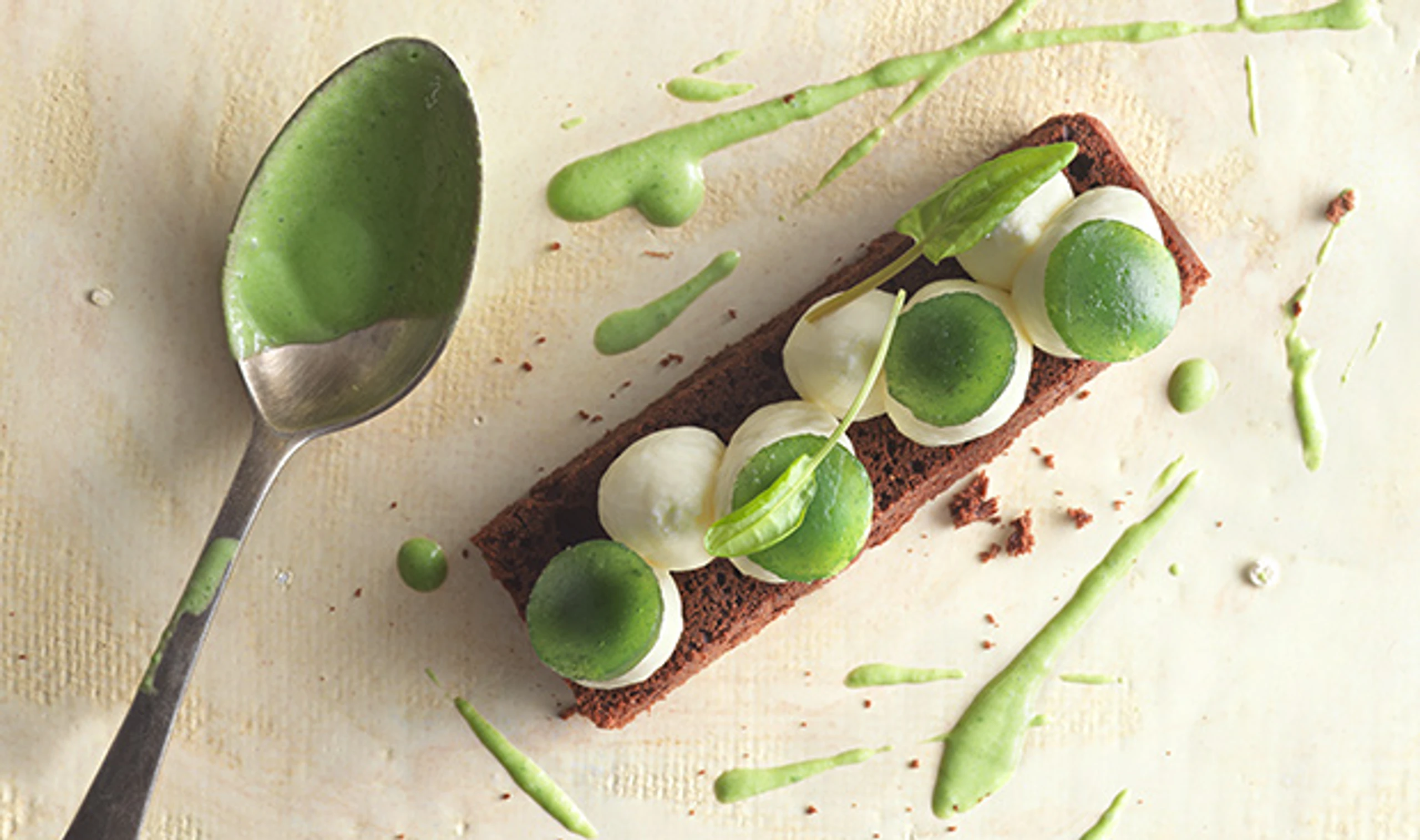 Schokokuchen mit Sauerampfer