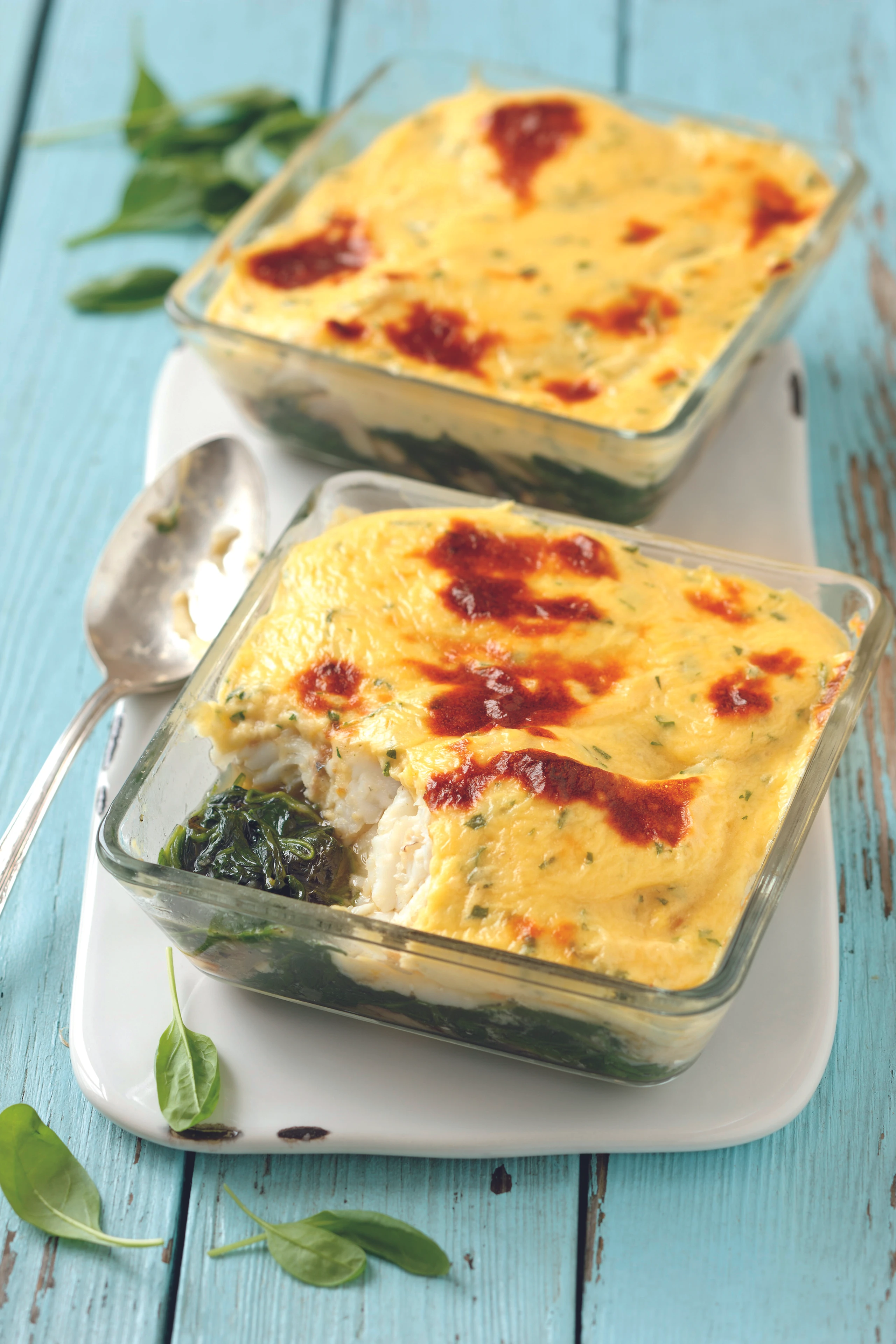 Überbackene Zanderfilets auf Blattspinat