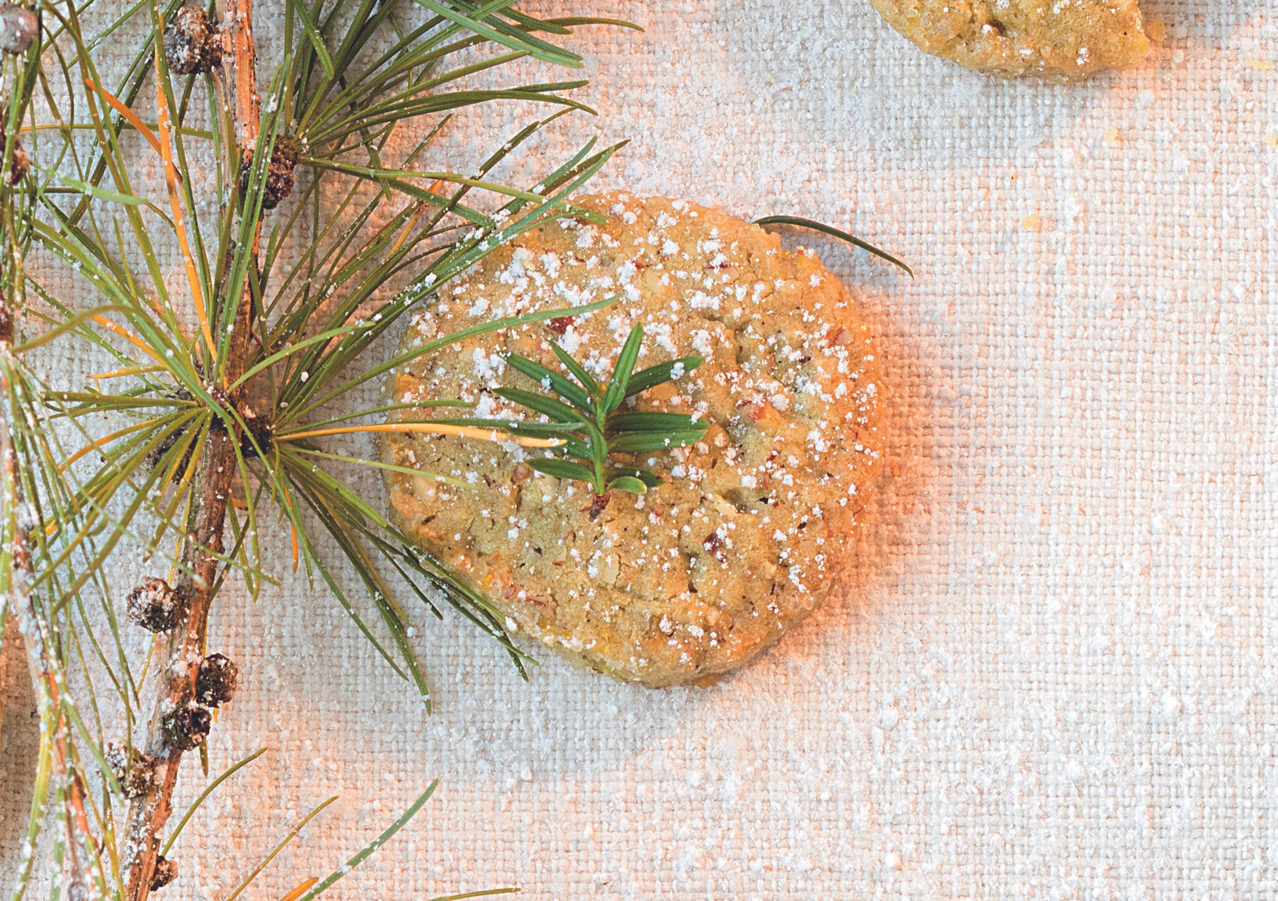 Fichtennadel-Heidesand