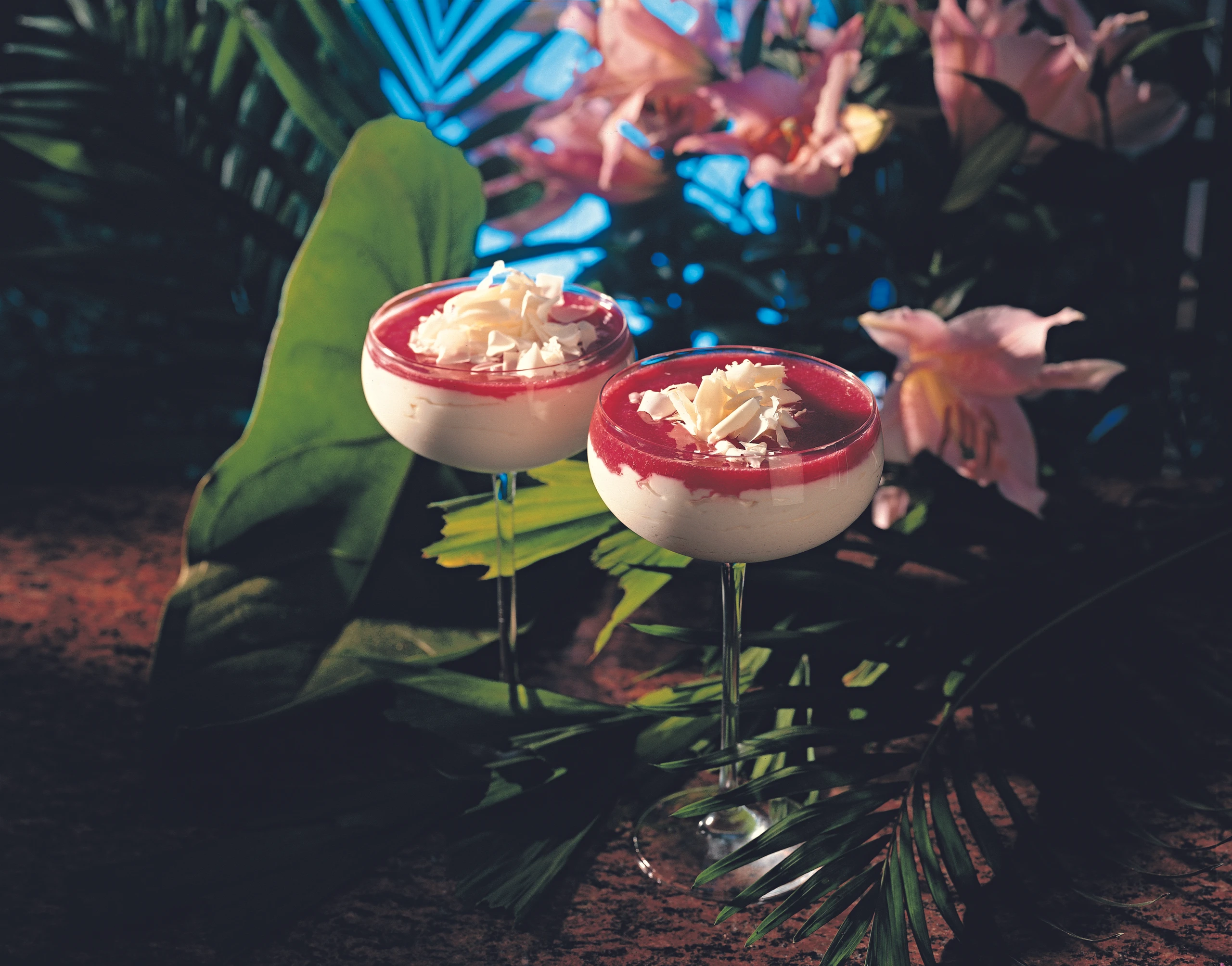 Topfen-Mousse mit Himbeerpüree