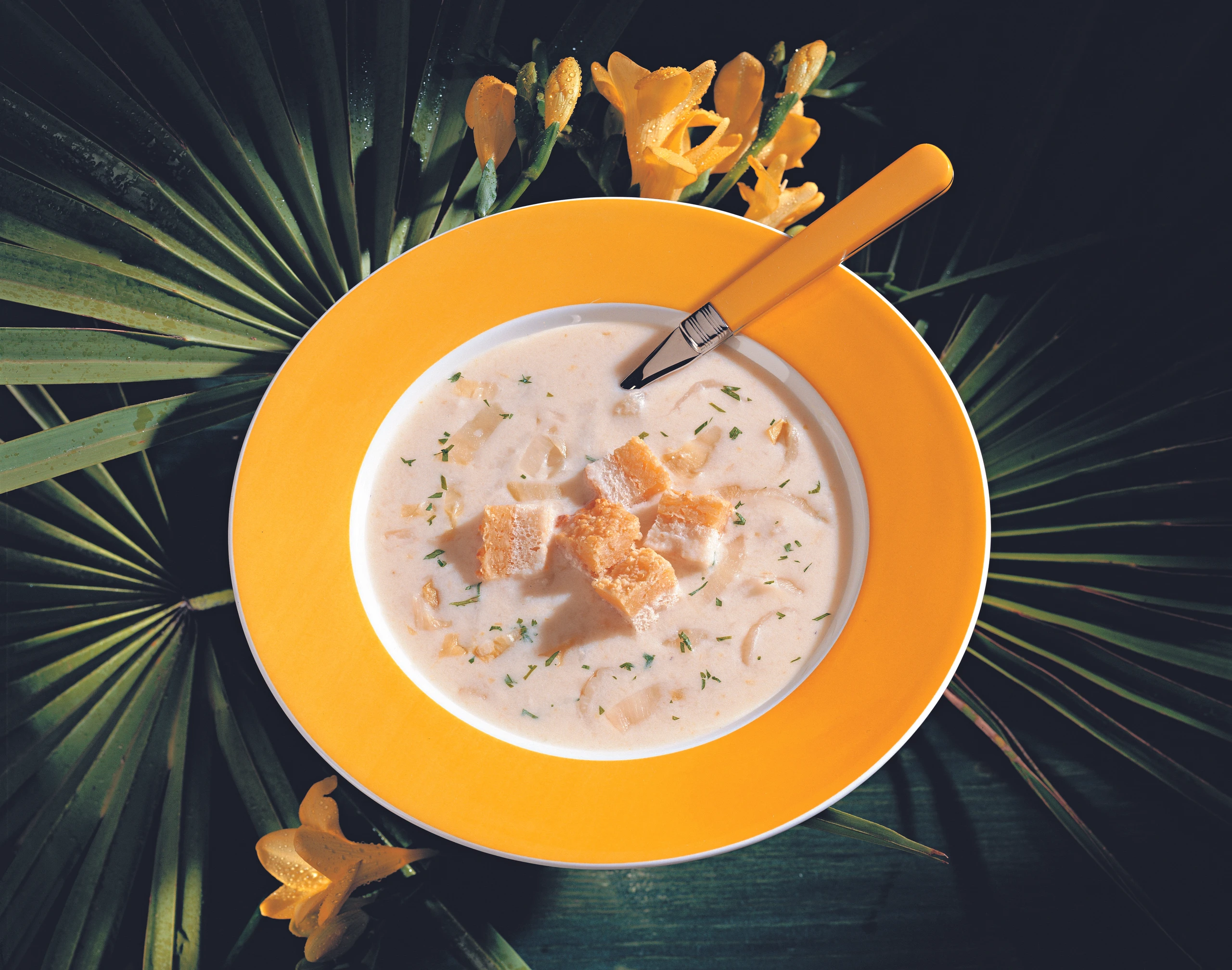 Chicoréesuppe mit Mandelcroûtons