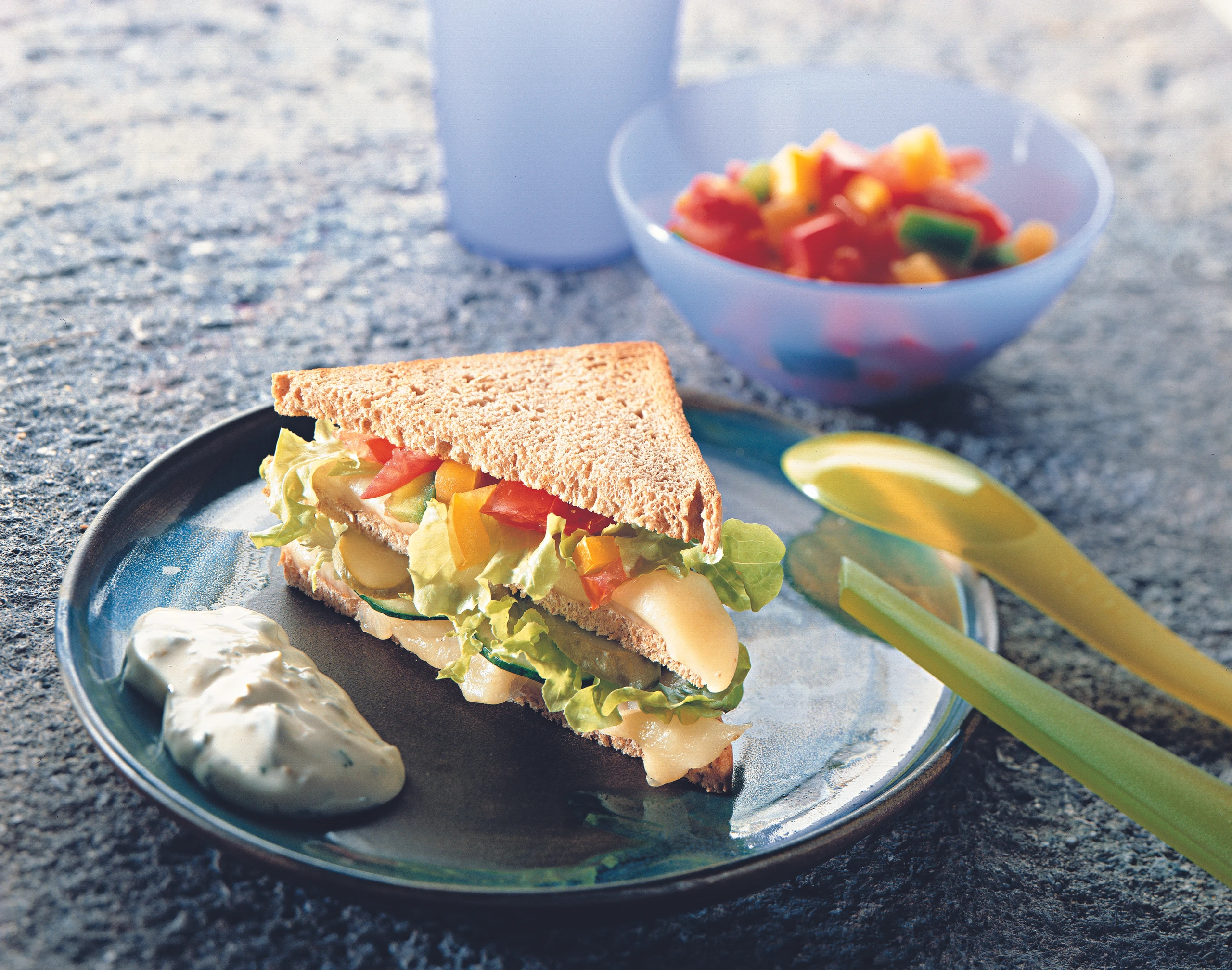 Gemüse-Käse-Toasts mit Joghurt-Senfsauce
