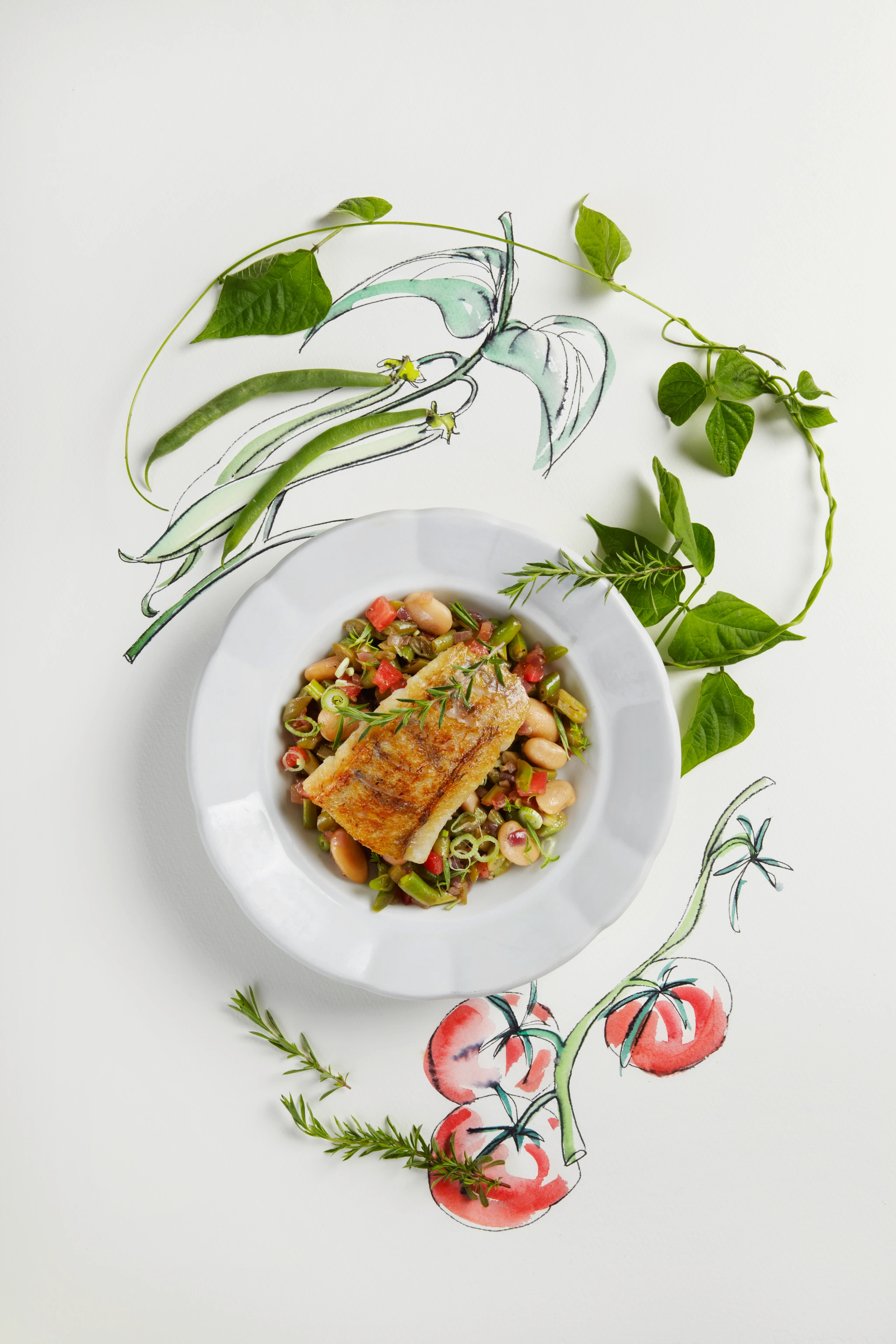 Zander auf Fisolen-Bohnengemüse