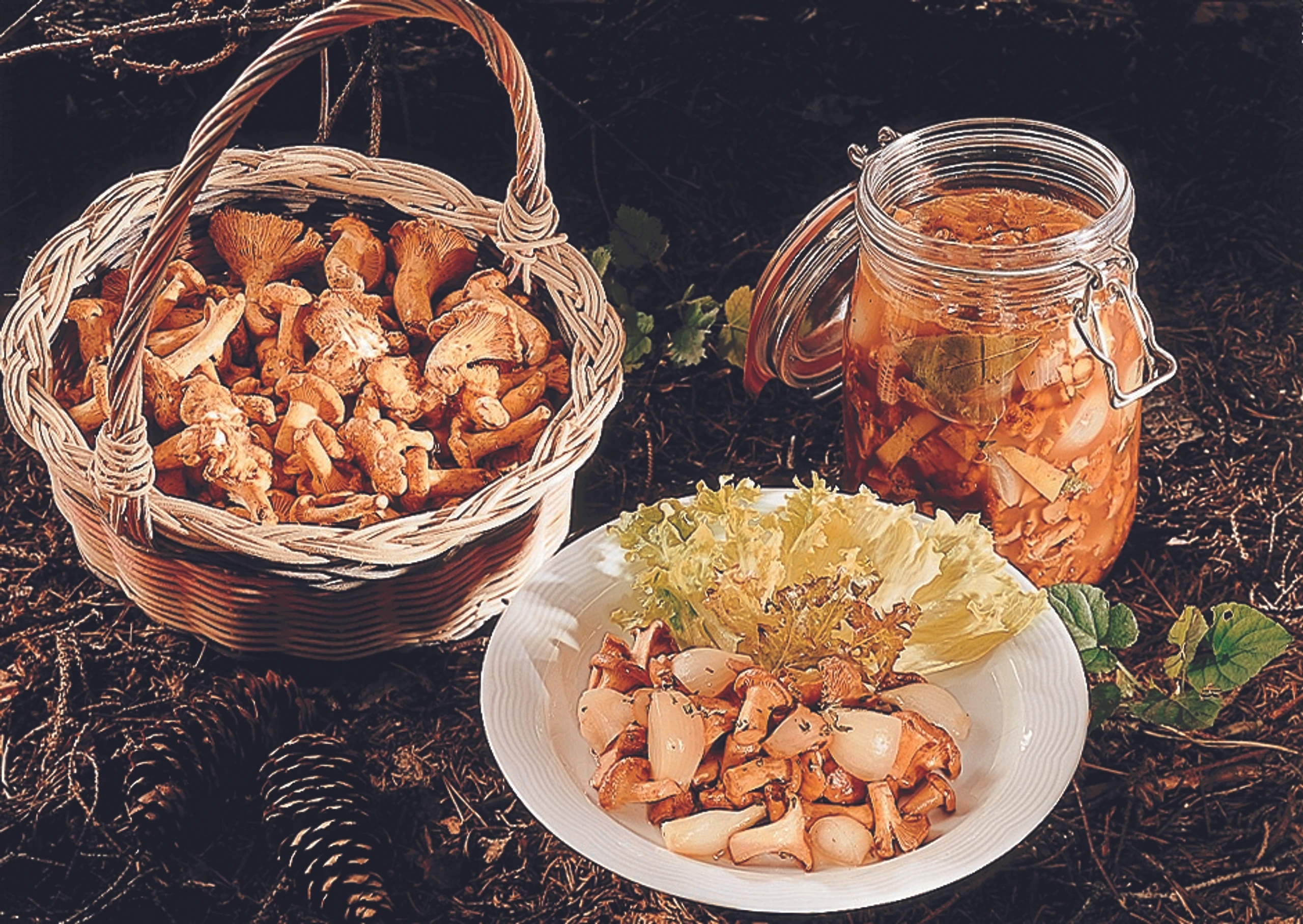 Eingelegte Eierschwammerl