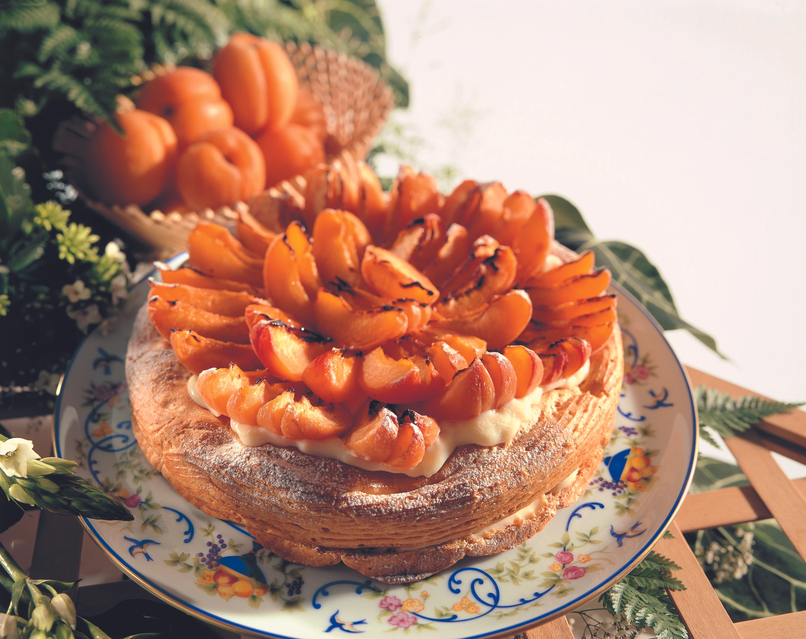 Brandteig-Marillentorte mit Vanillecreme