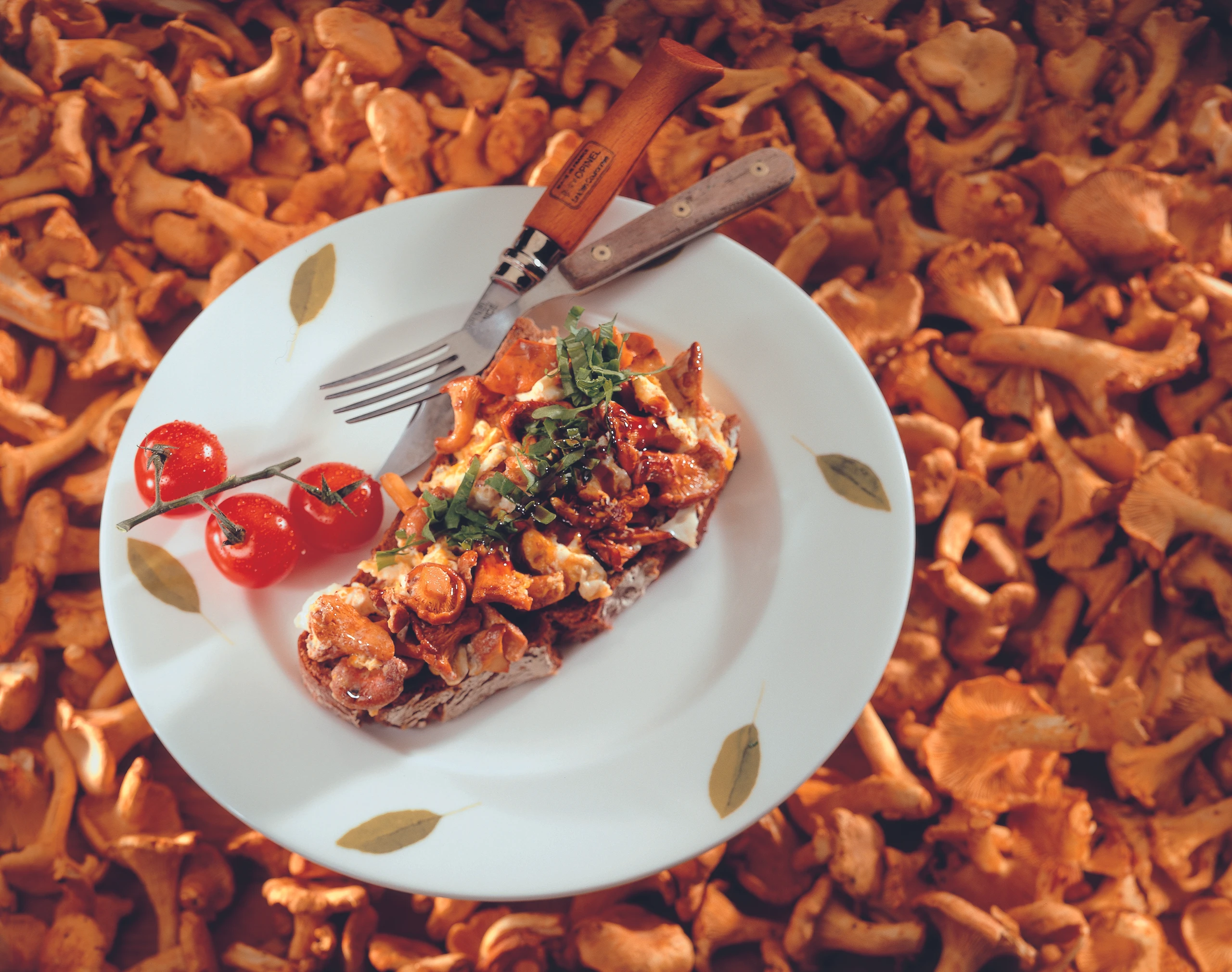 Eierschwammerl mit Ei auf Schwarzbrot