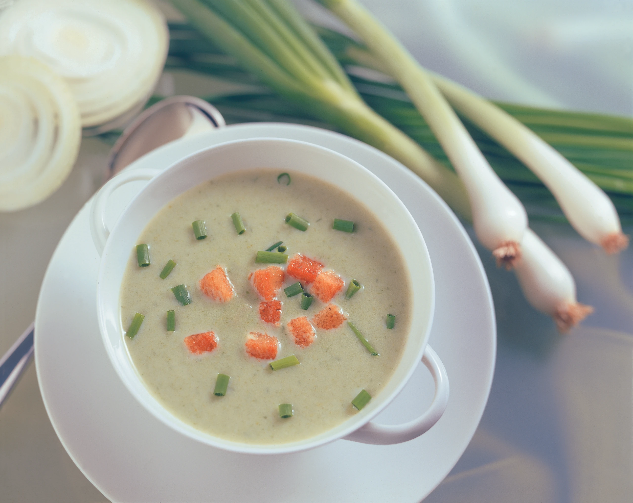 Suppe aus Jungzwiebeln mit Croûtons