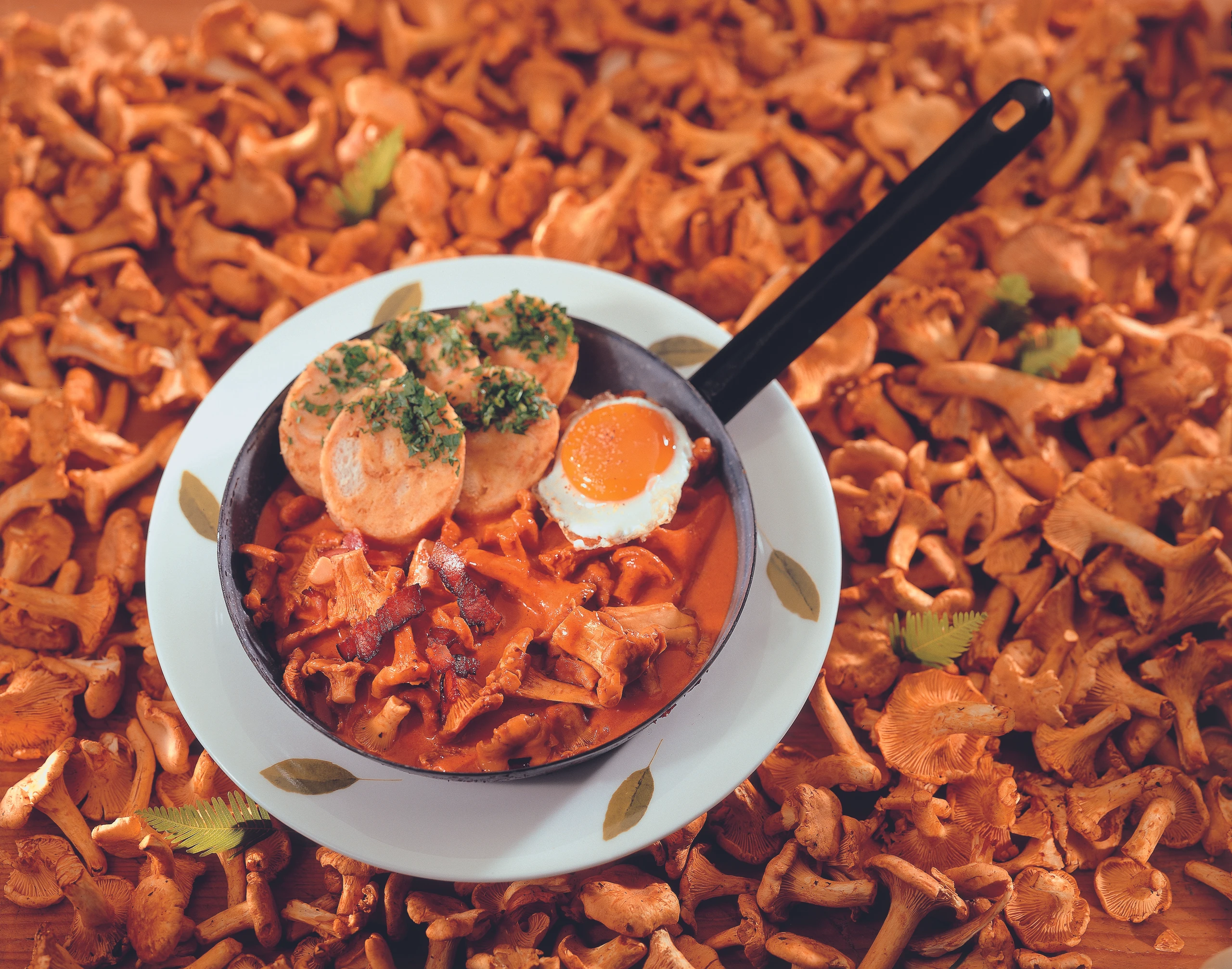 Eierschwammerl-Gulasch mit Spiegelei