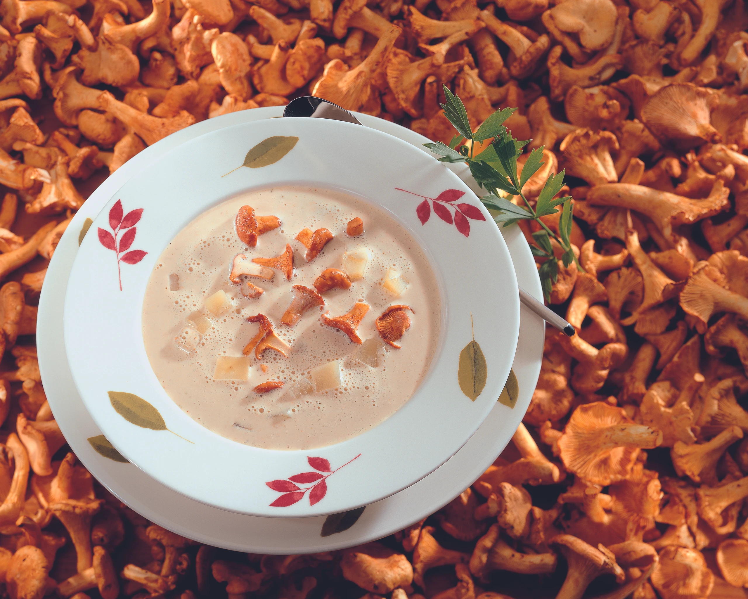 Eierschwammerlsuppe mit Erdäpfeln und Lauch