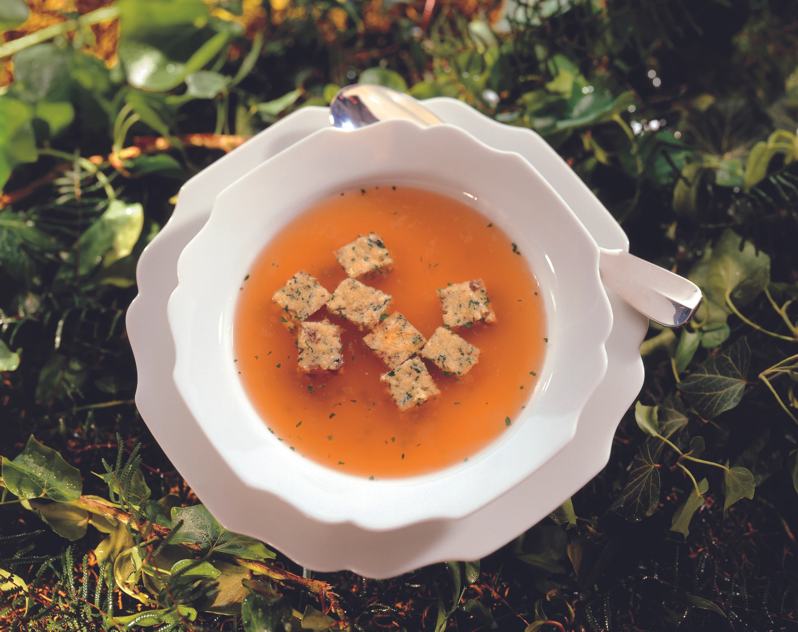 Suppe mit Schwammerl-Schöberln