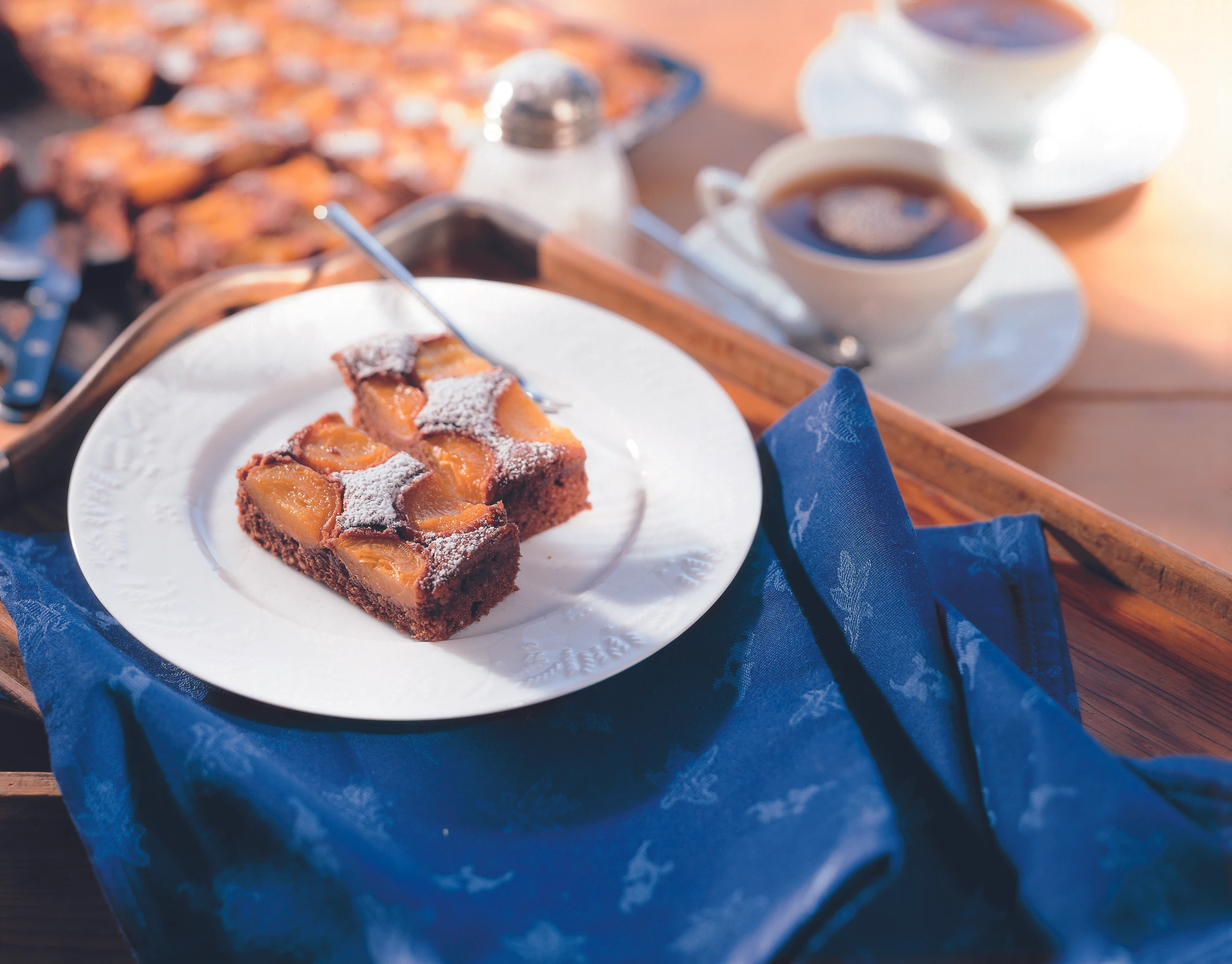 Marillenkuchen Schoko-Nuss