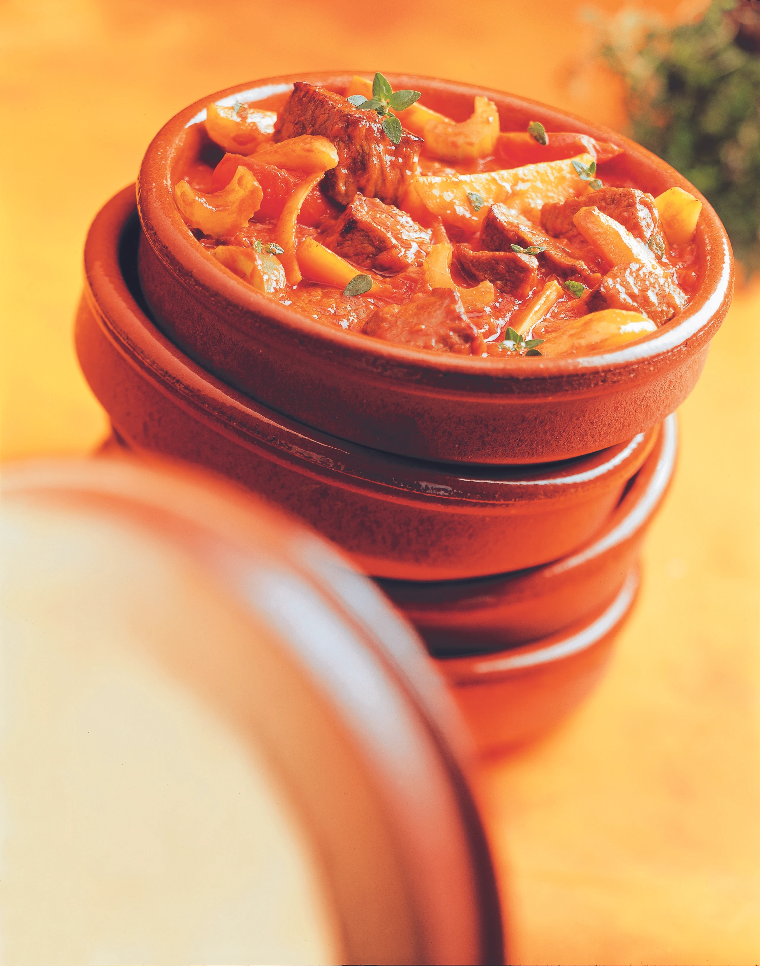 Rindsragout mit Herbstgemüse