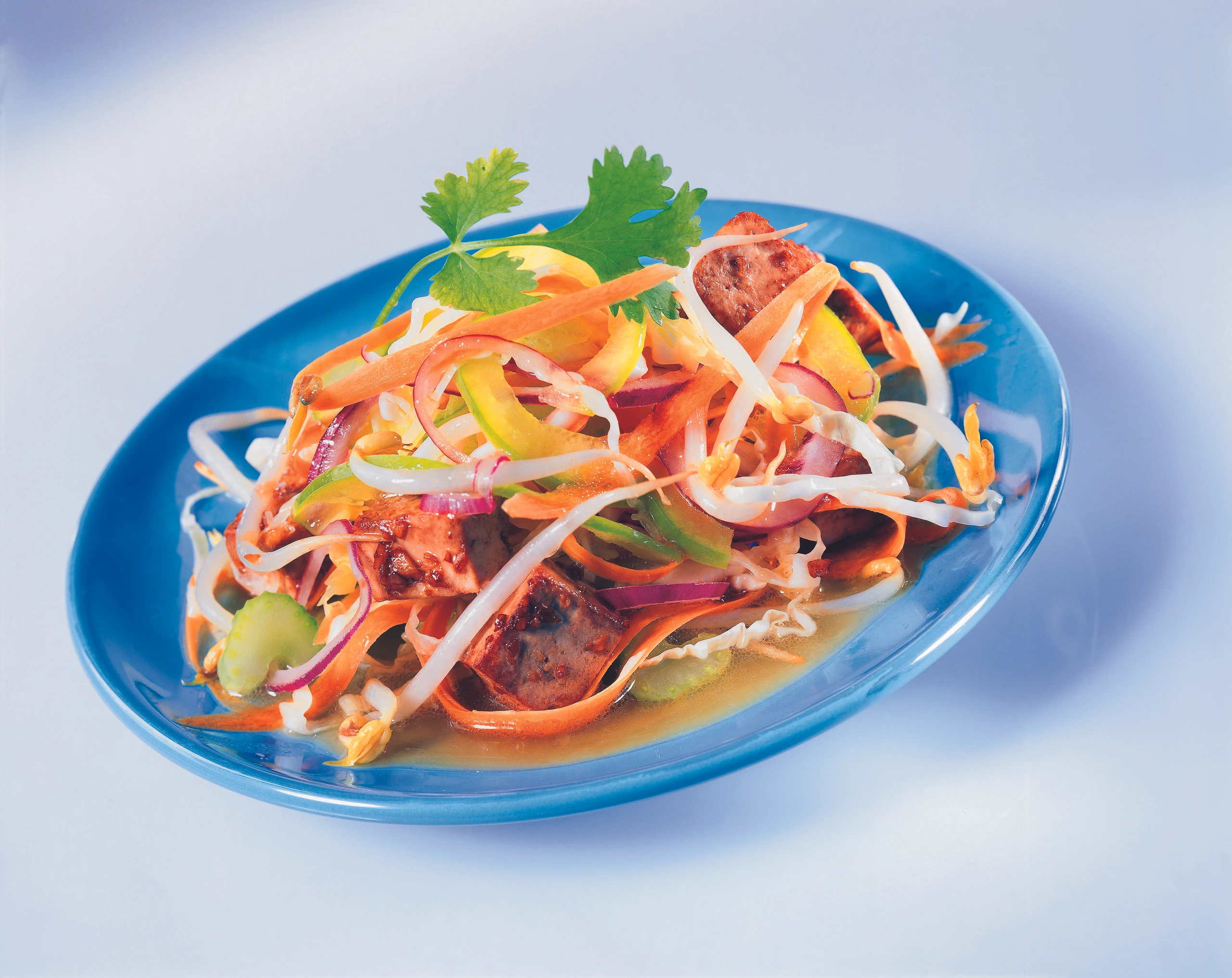 Chinesischer Krautsalat mit Sprossen und Tofu