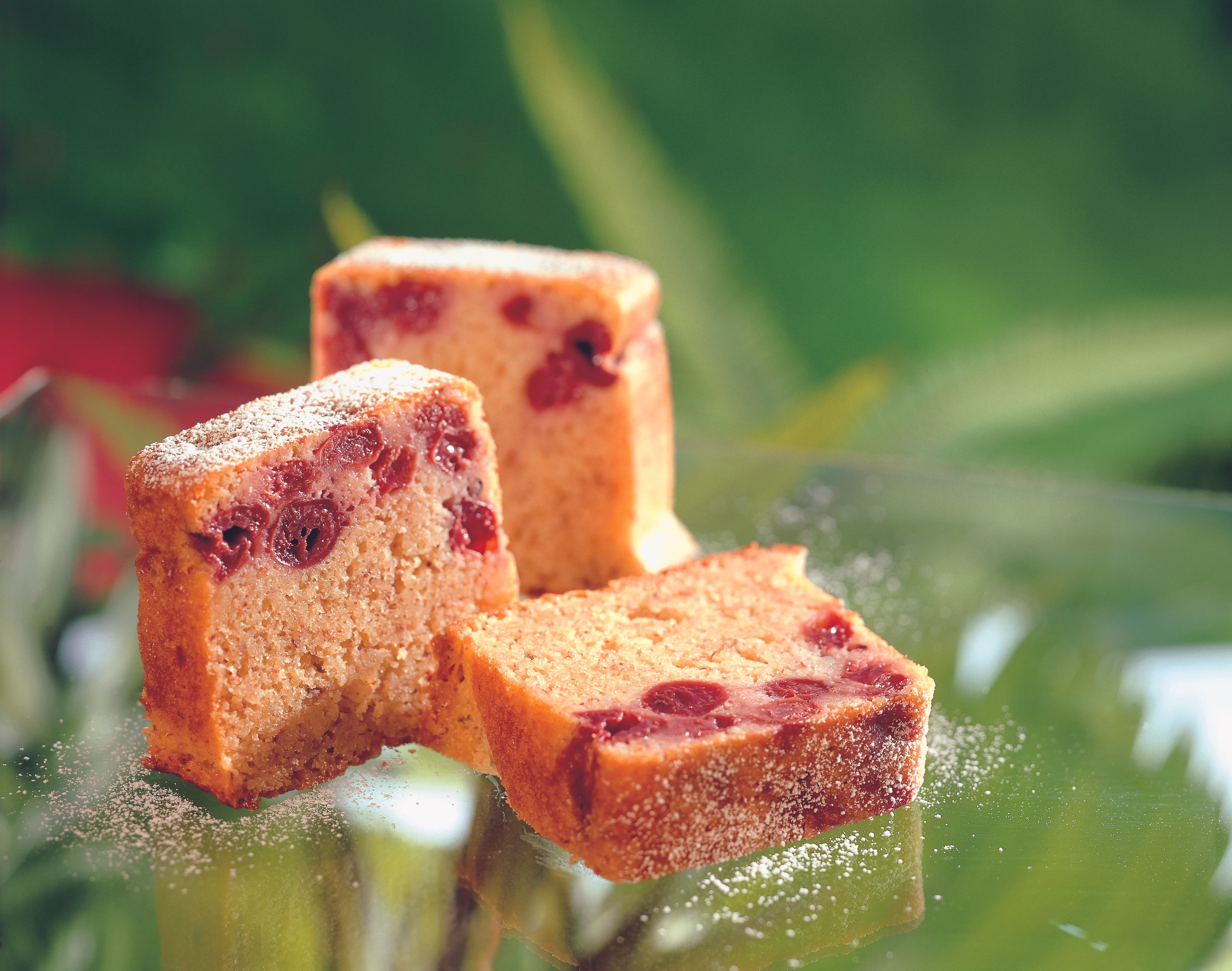 Feiner Weichselkuchen