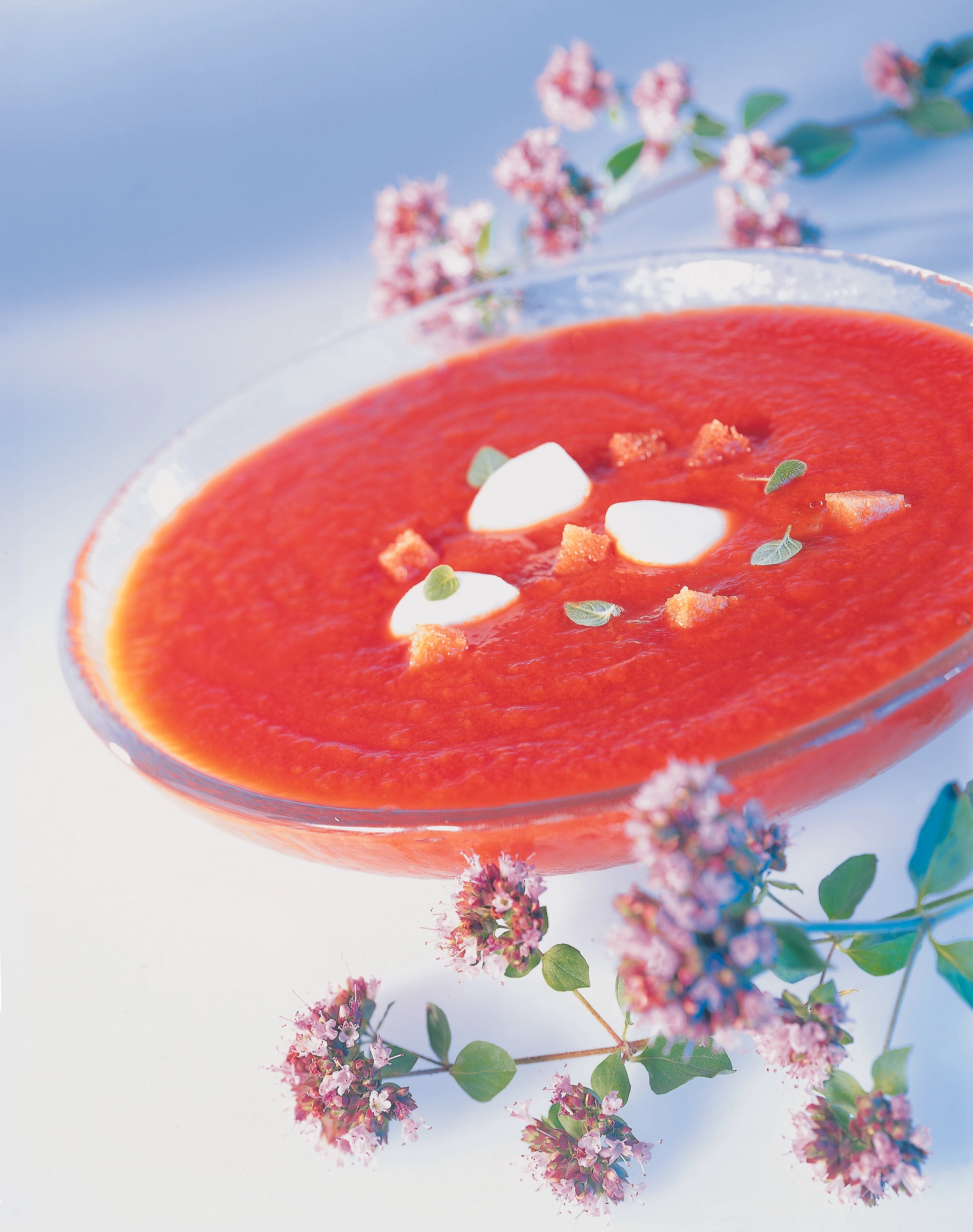 Kalte Paradeissuppe mit Dost