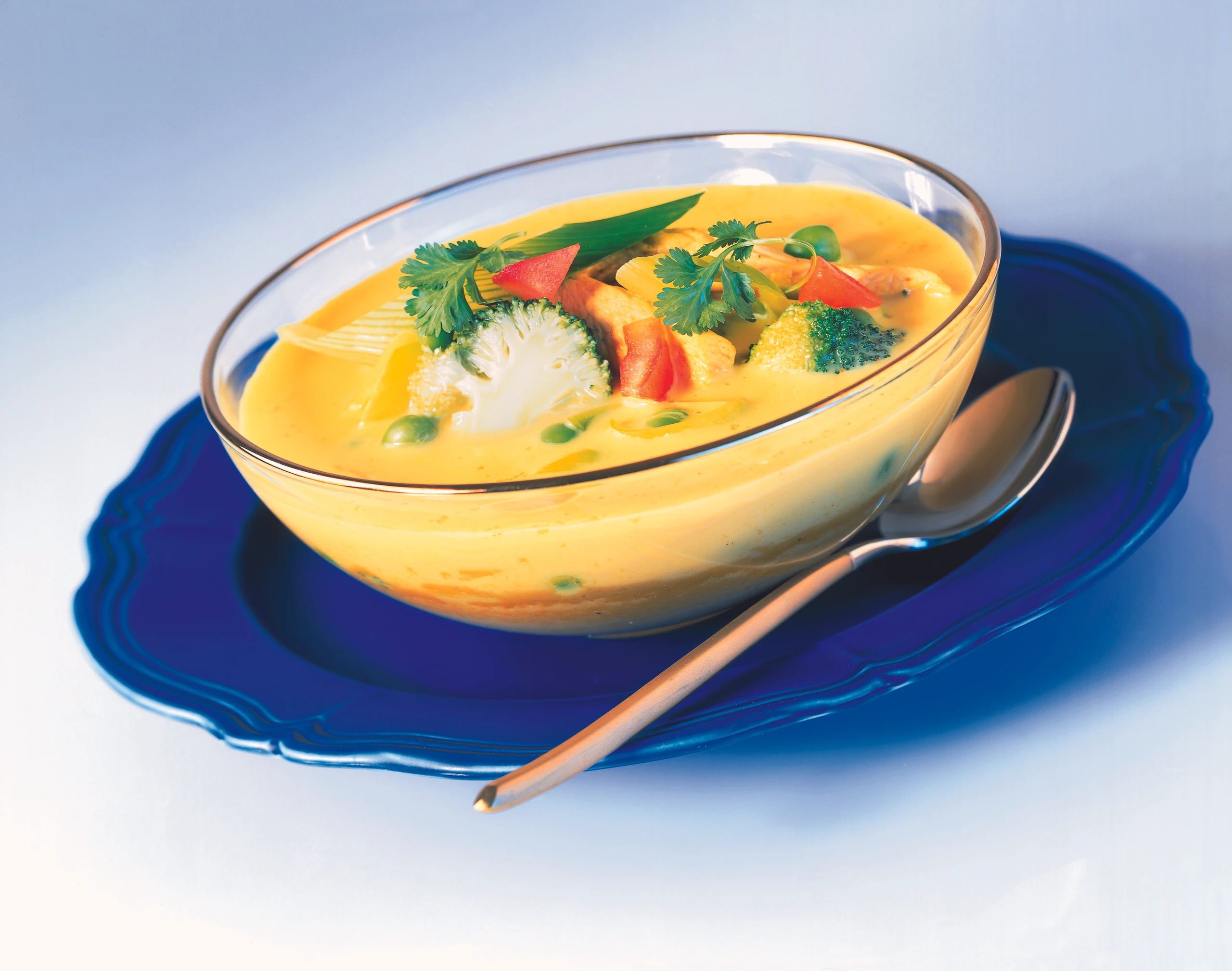 Indische Gemüsesuppe mit Hühnerfleisch