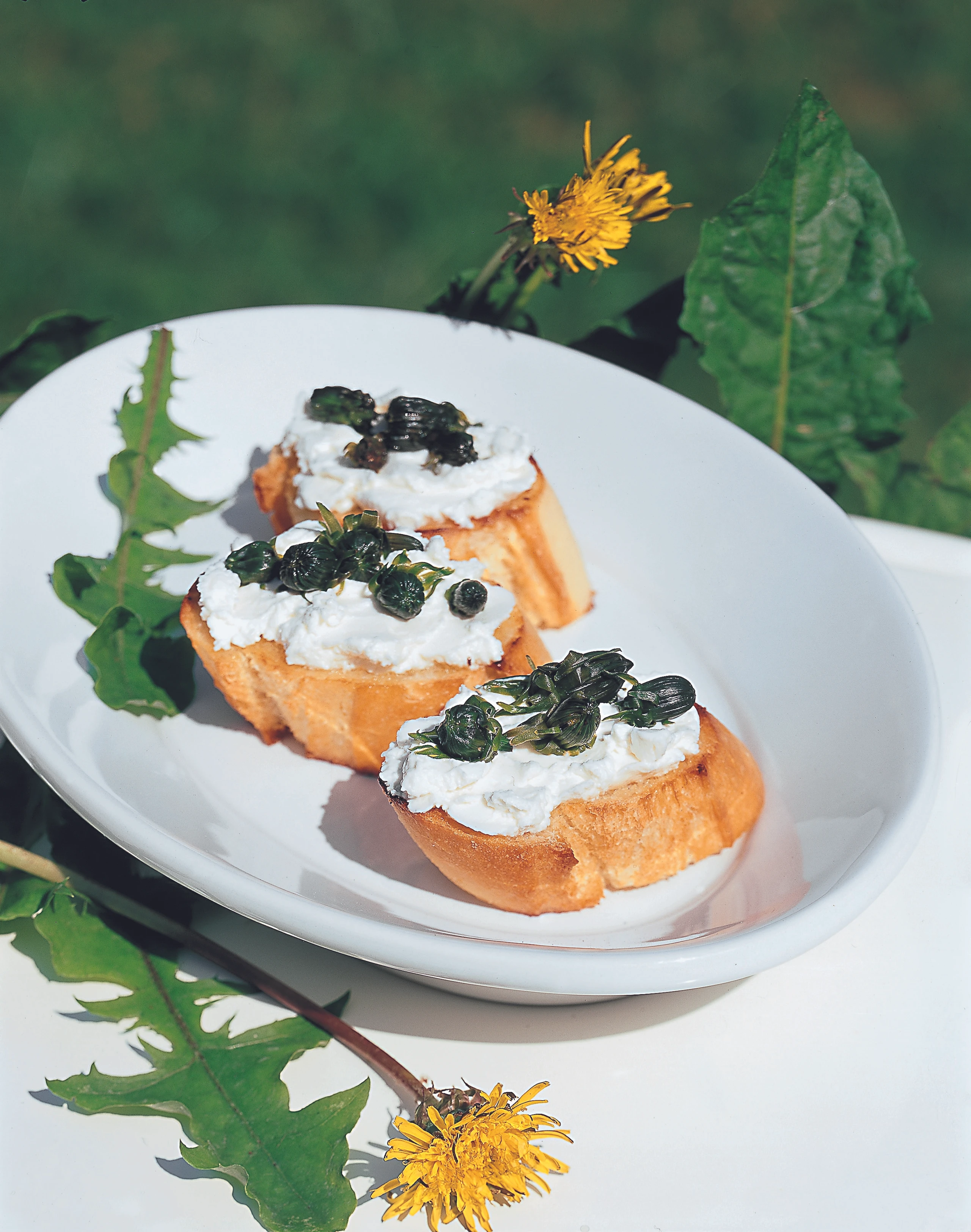 Löwenzahnknospen-Crostini