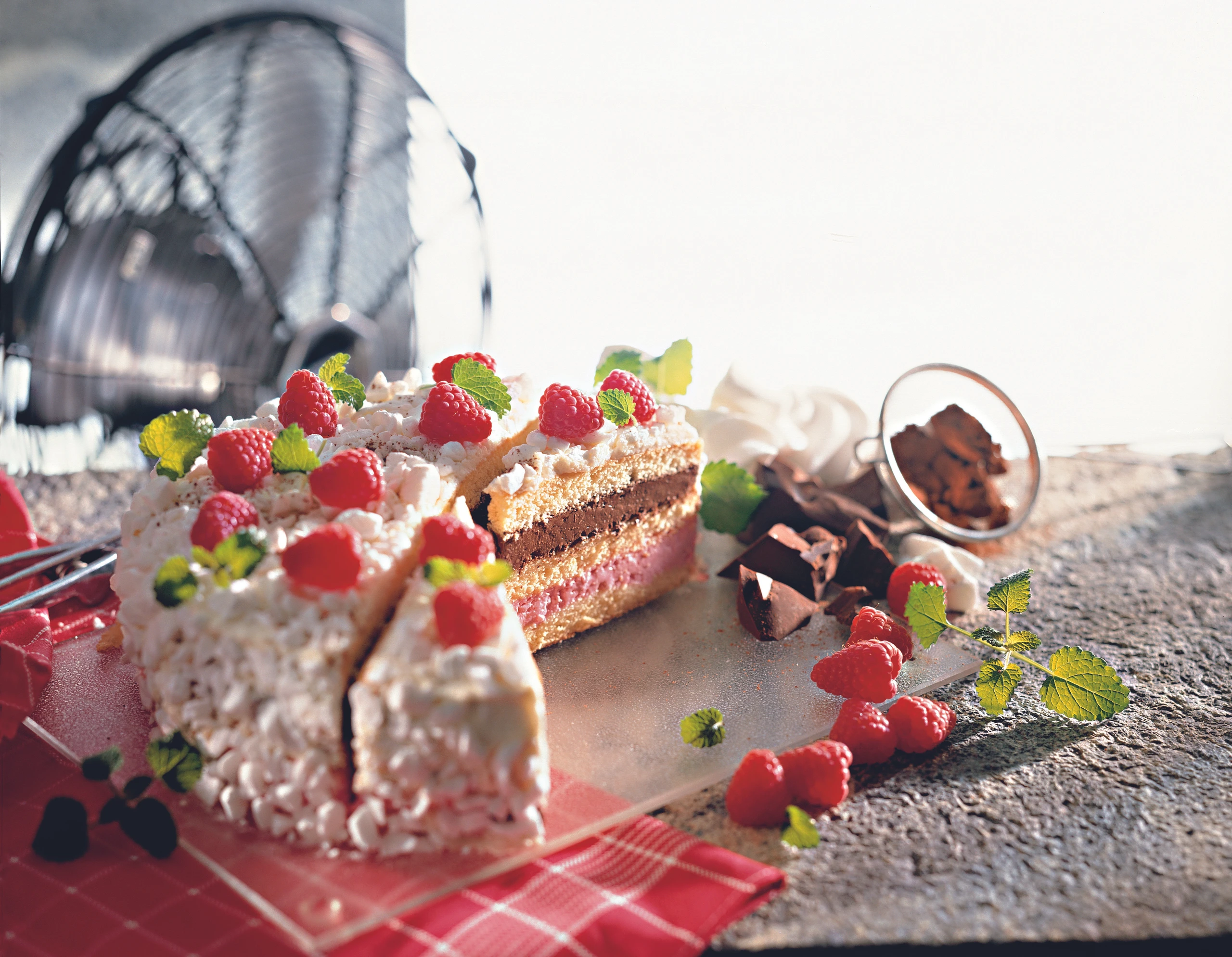 Himbeer-Schoko-Eistorte