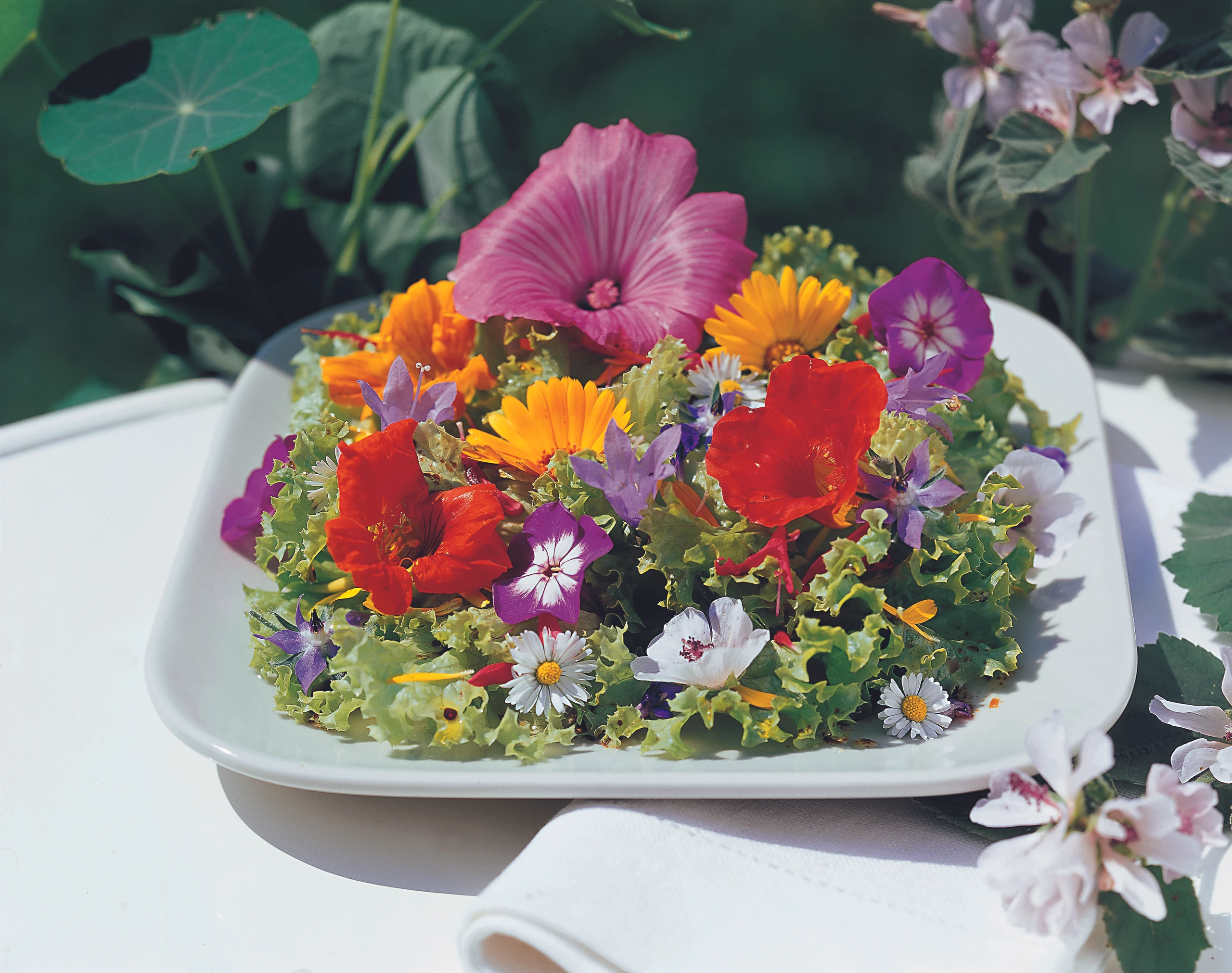Blütensalat mit Balsamdressing