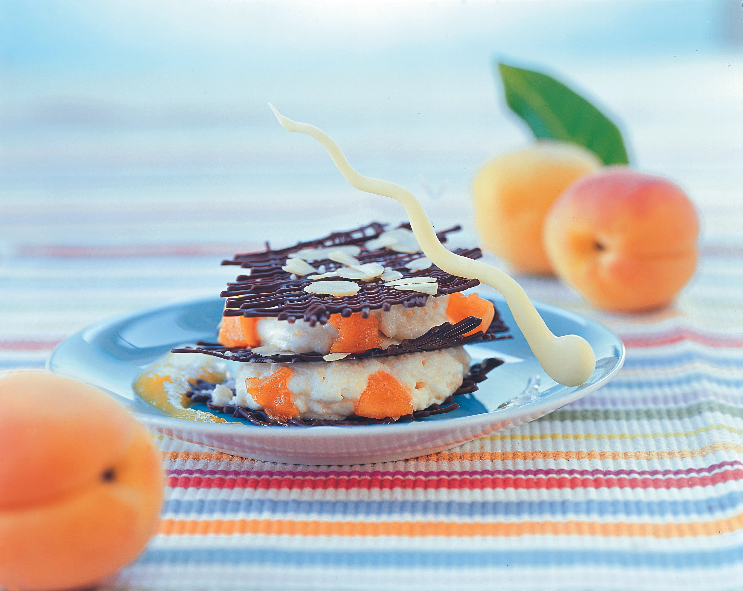 Marillen-Joghurtcreme mit Schokoladegitter