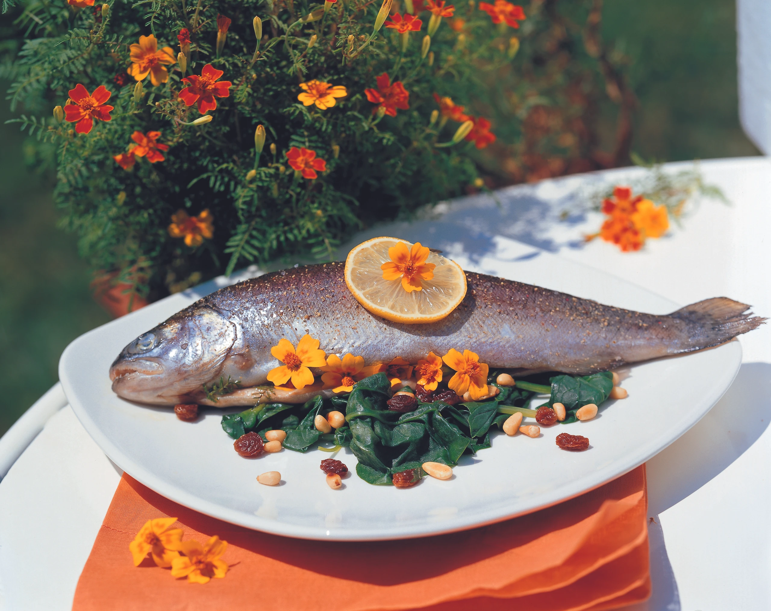 Forelle mit Orangentagetes auf Blattspinat