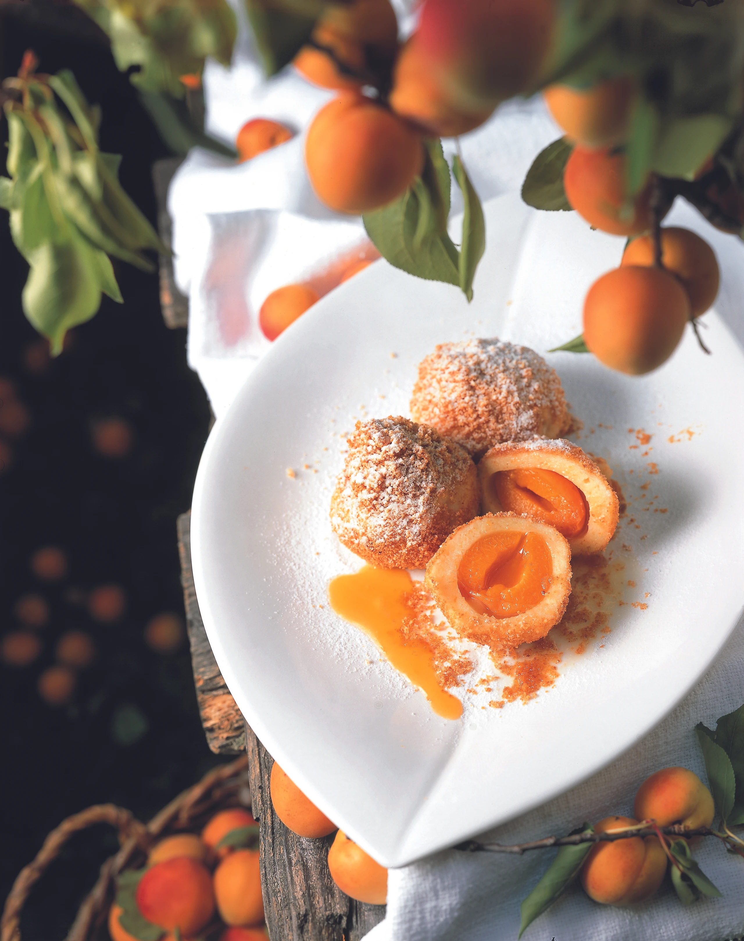 Wachauer Marillenknödel mit Topfenteig