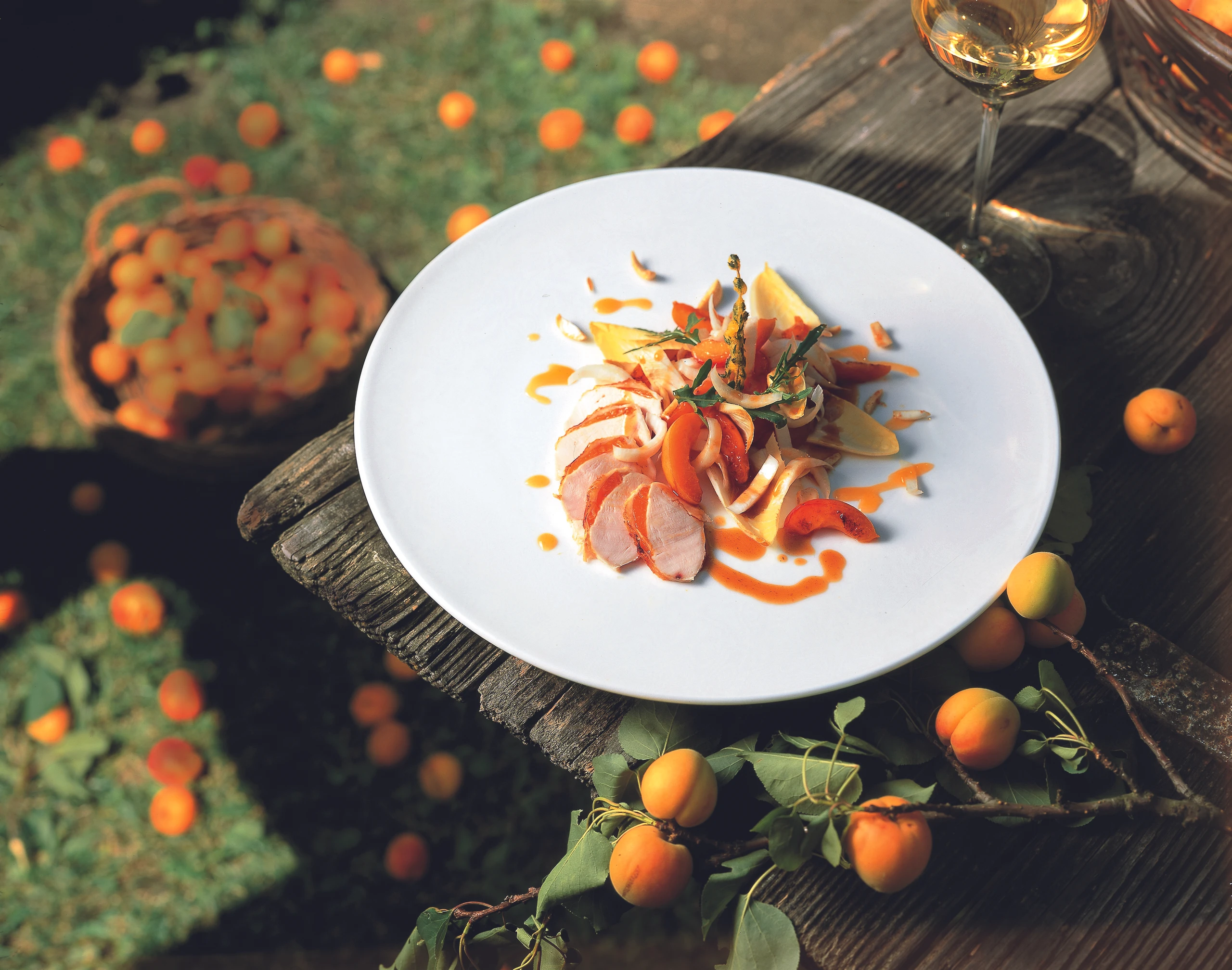 Perlhuhnbrüstchen mit Marillen auf Chicorée-Mandelsalat