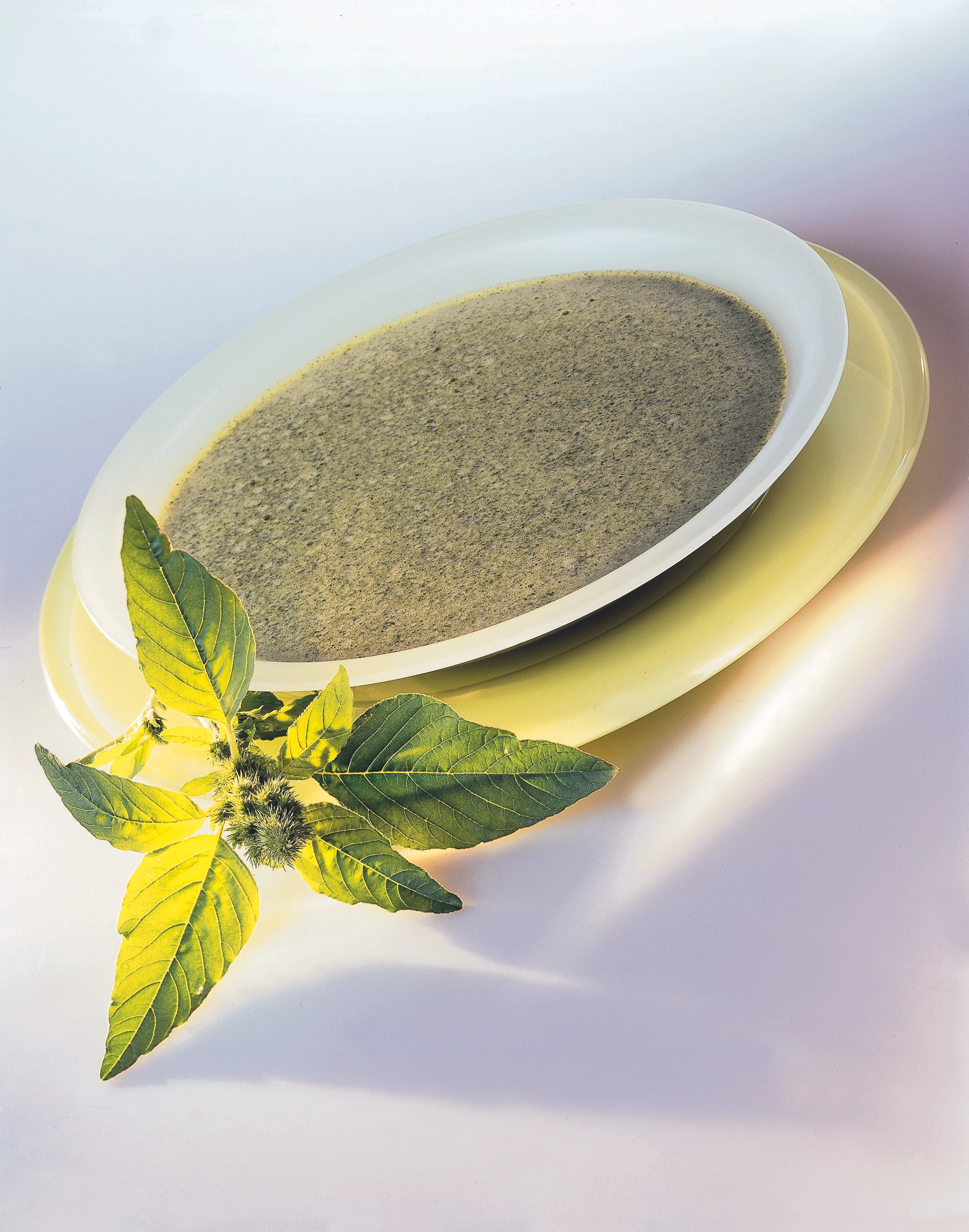 Schaumsüppchen vom Amaranth