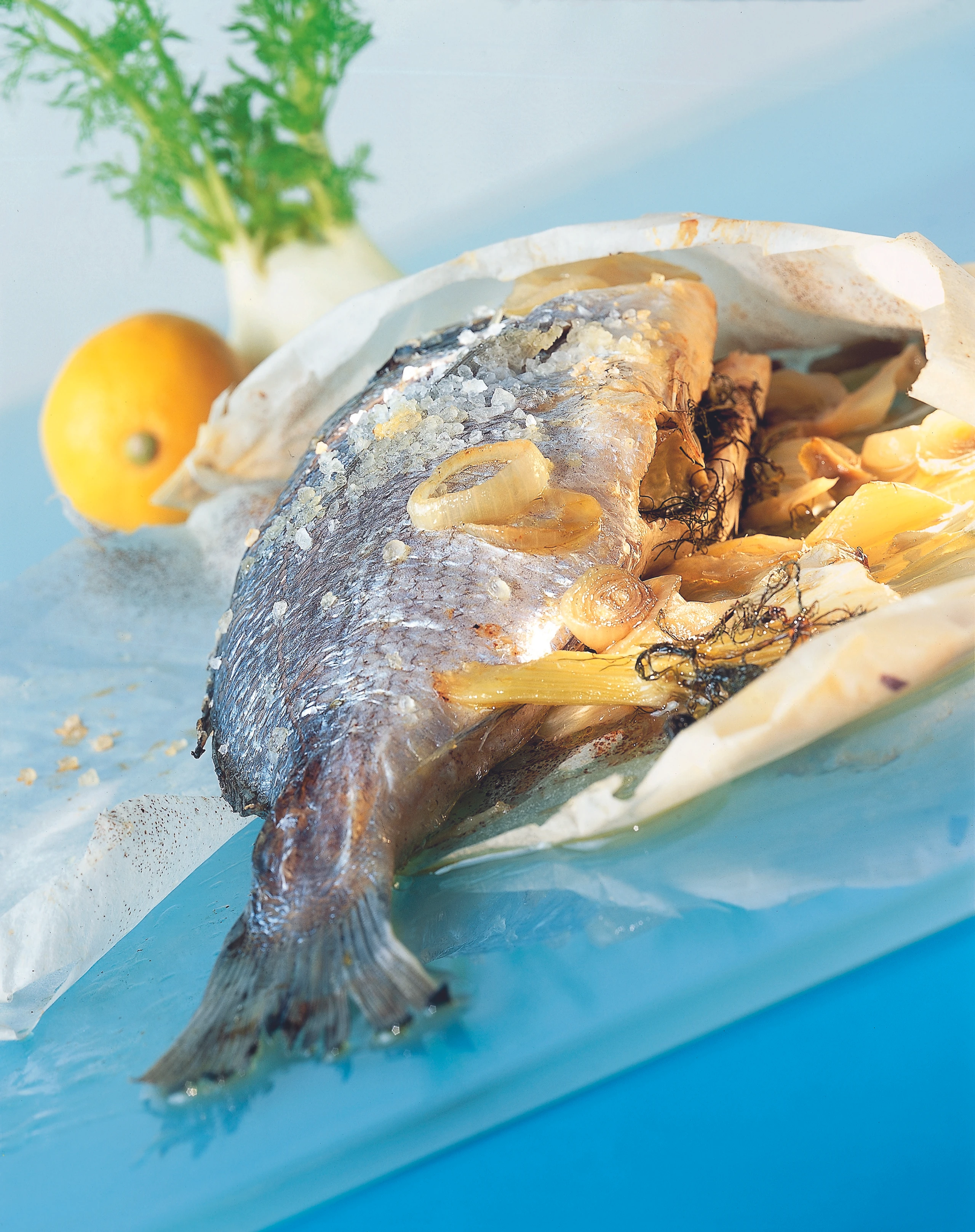 Goldbrasse mit Fenchel und Schalotten