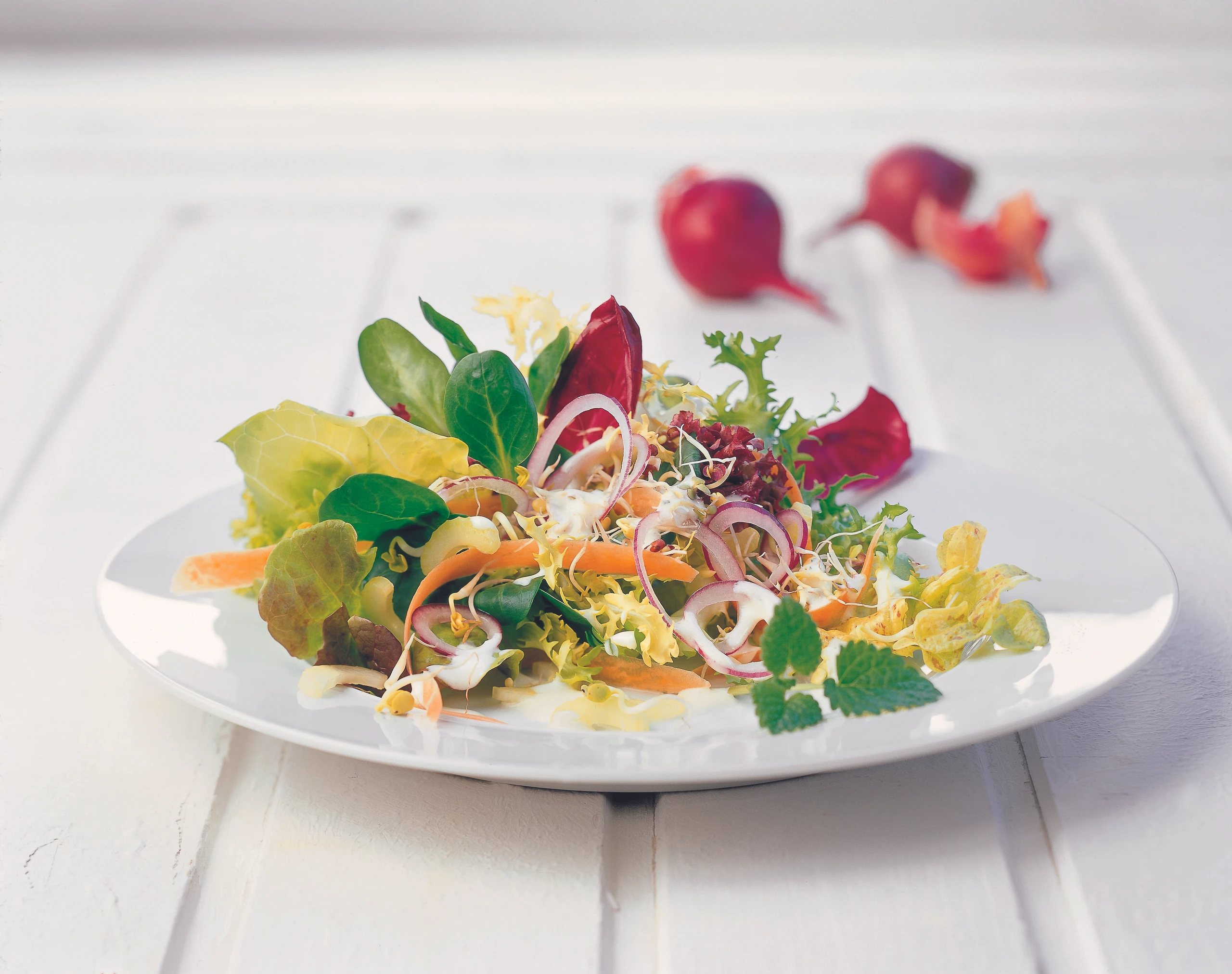 Blattsalate mit Joghurtdressing