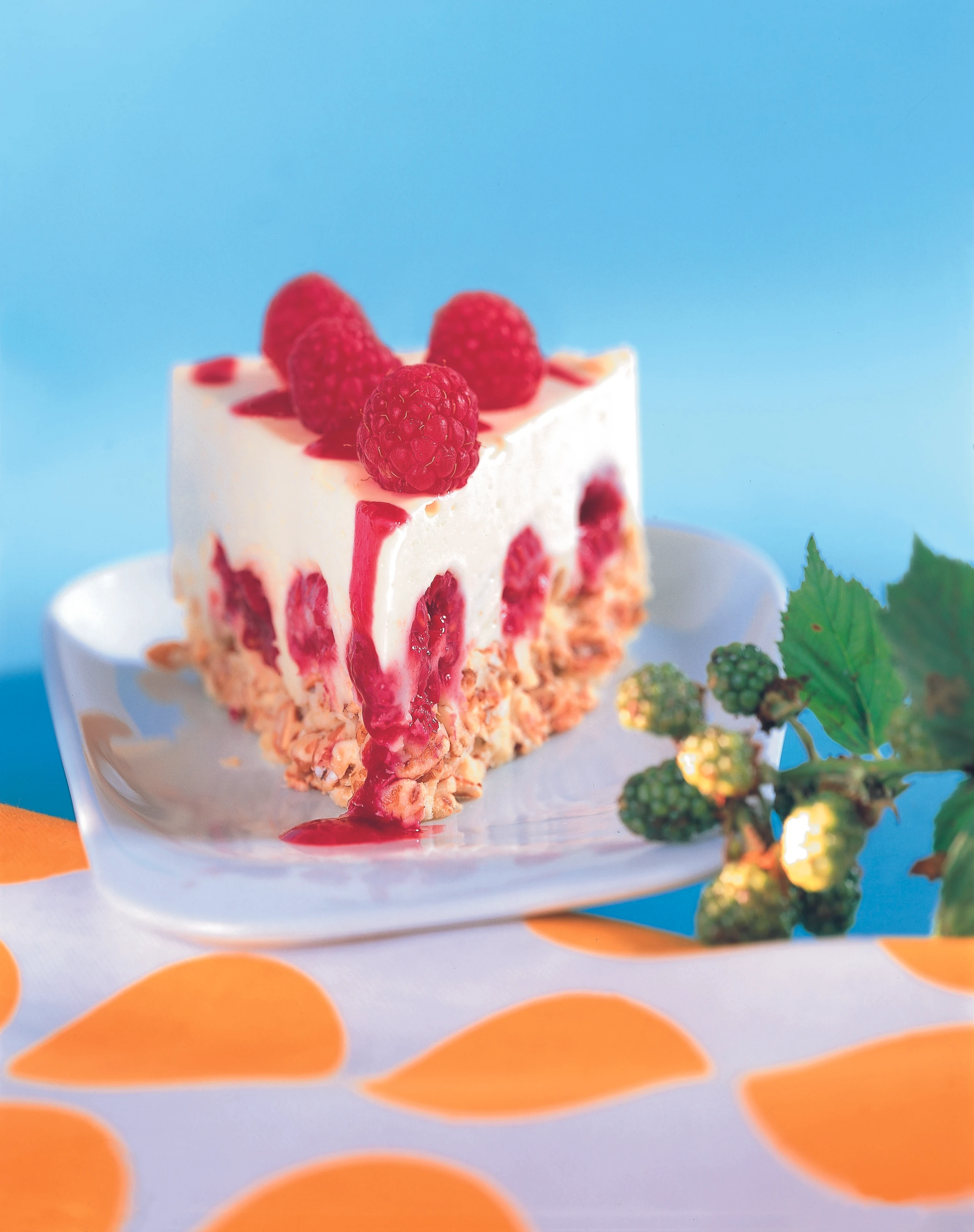 Himbeertorte mit Pops-Boden