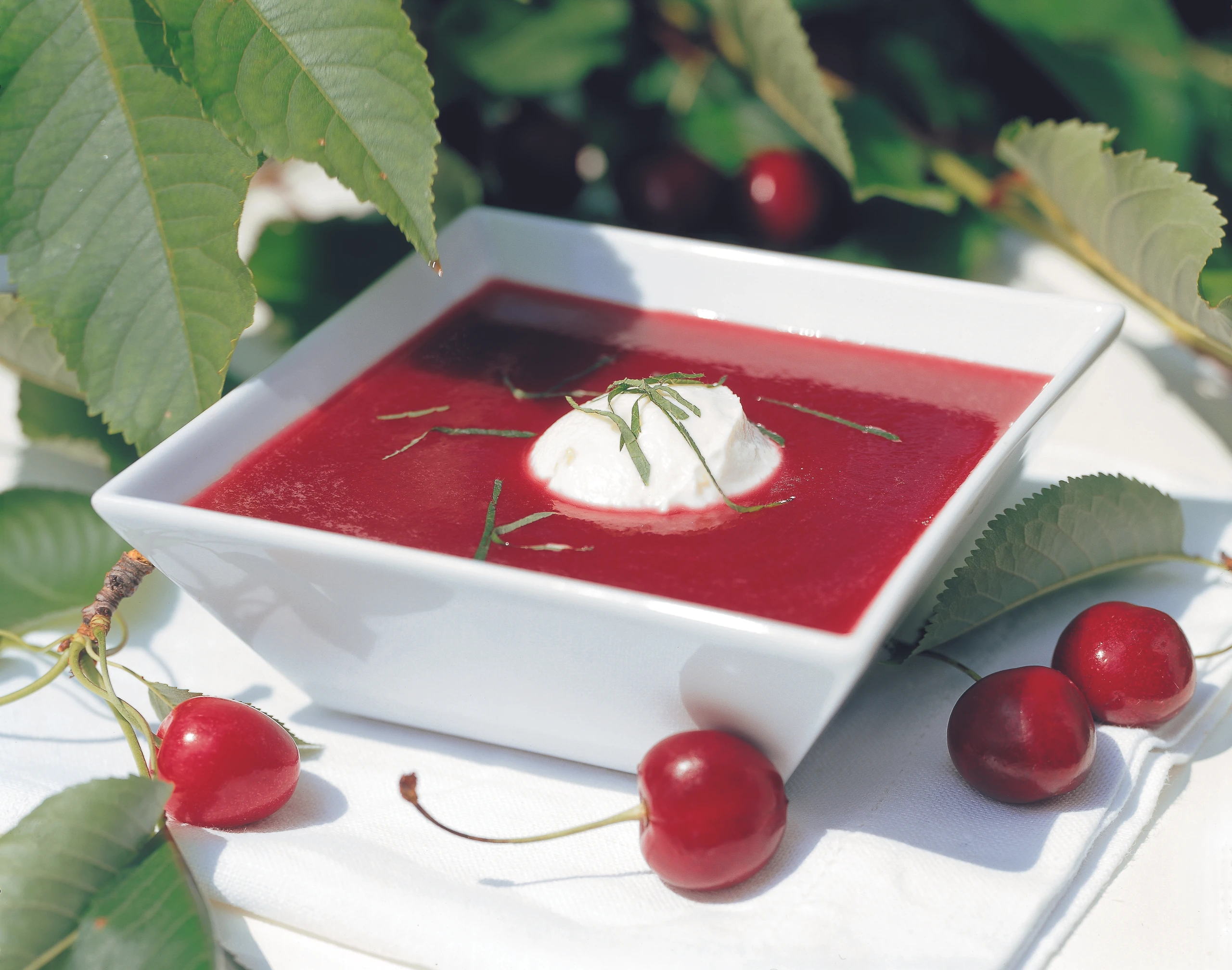 Kalte Kirschensuppe mit Topfenknöderl