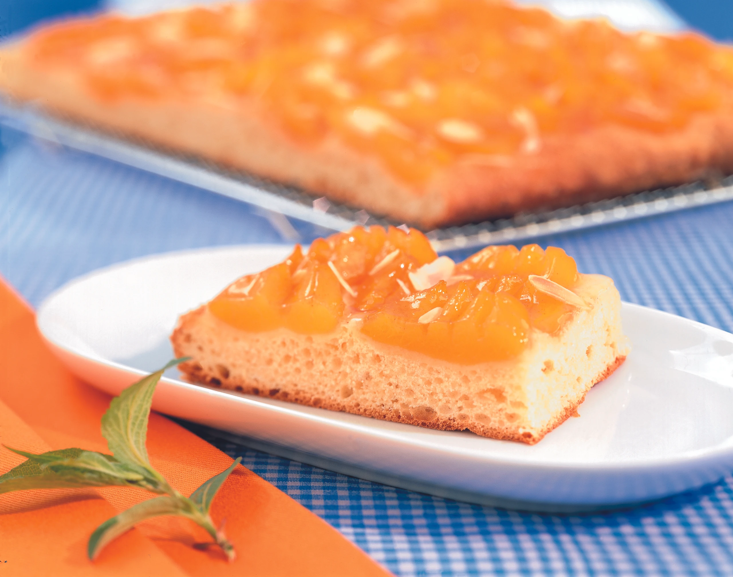 Marillenfleck aus Germteig